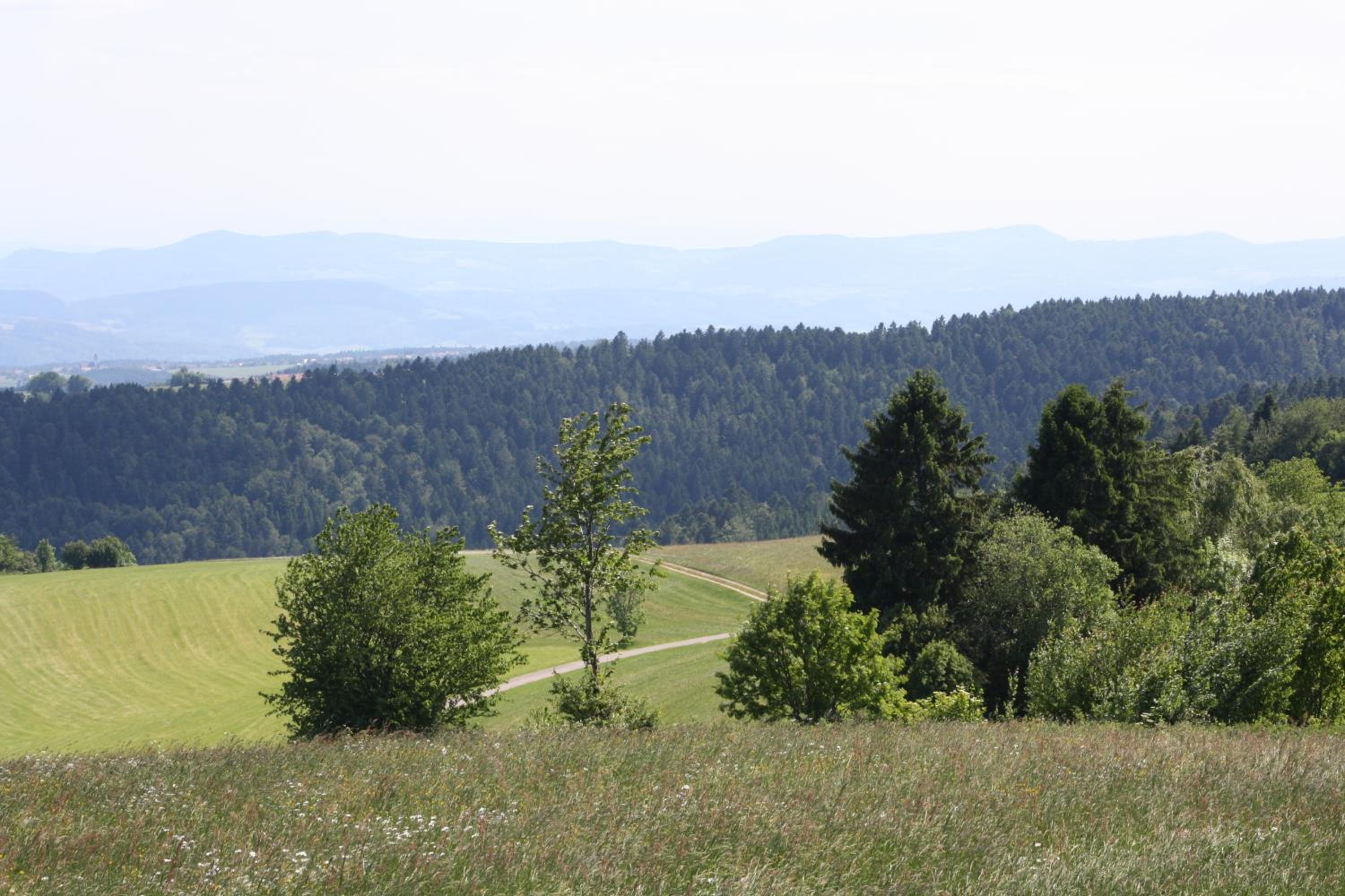 Vogelbacher Hof - Dachsberg im Südschwarzwald