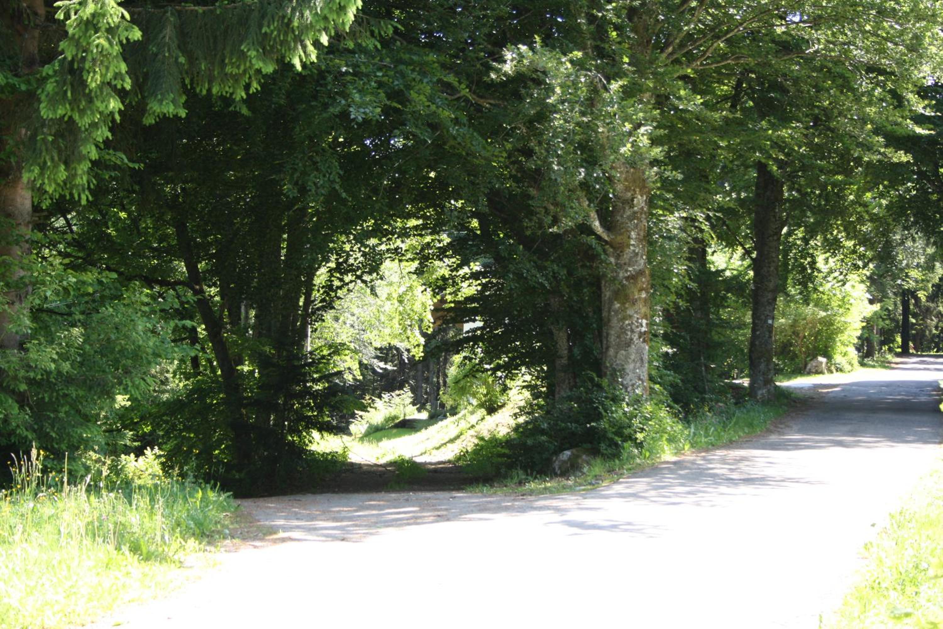 Vogelbacher Hof - Dachsberg im Südschwarzwald