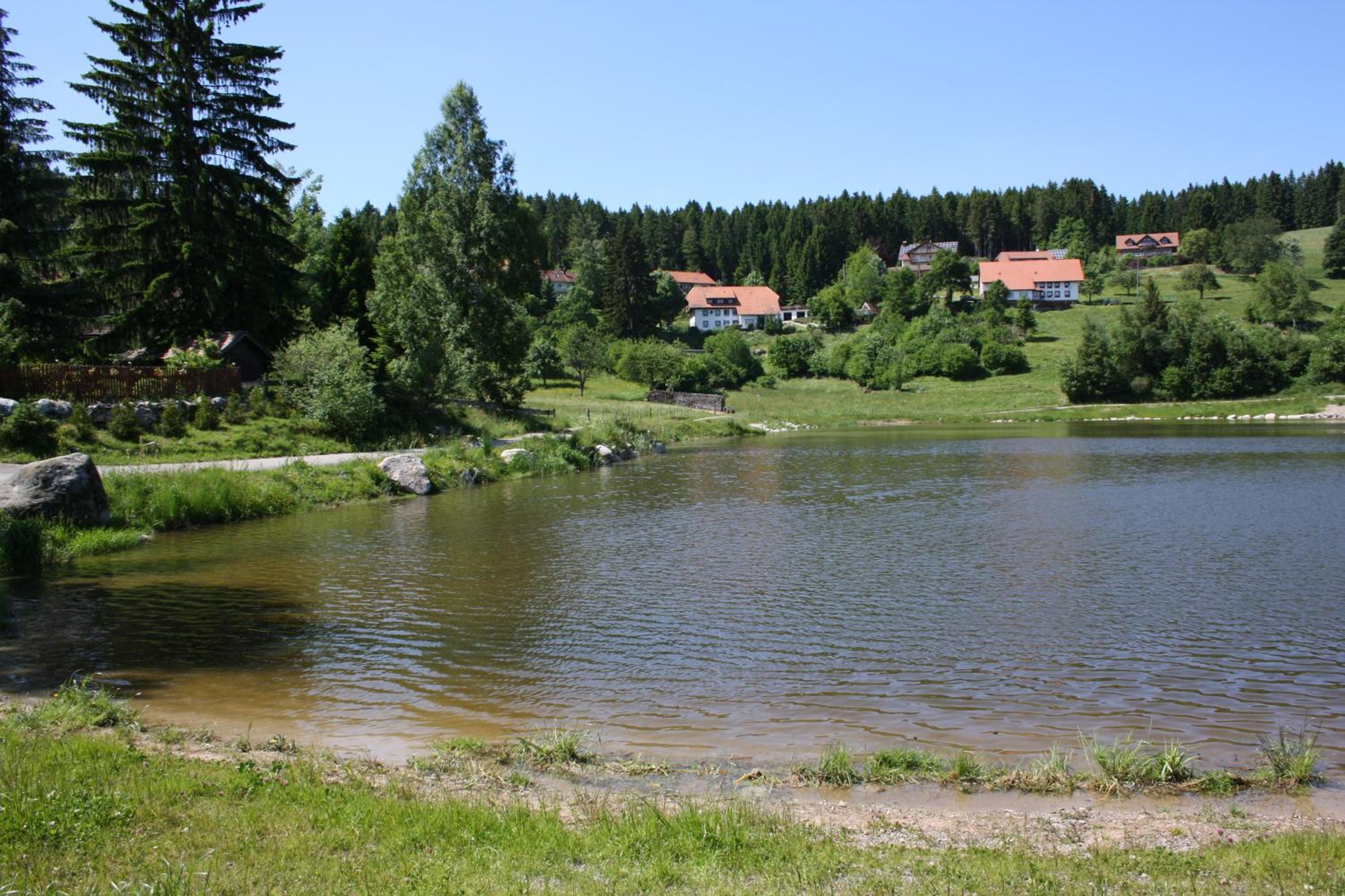Vogelbacher Hof - Dachsberg im Südschwarzwald