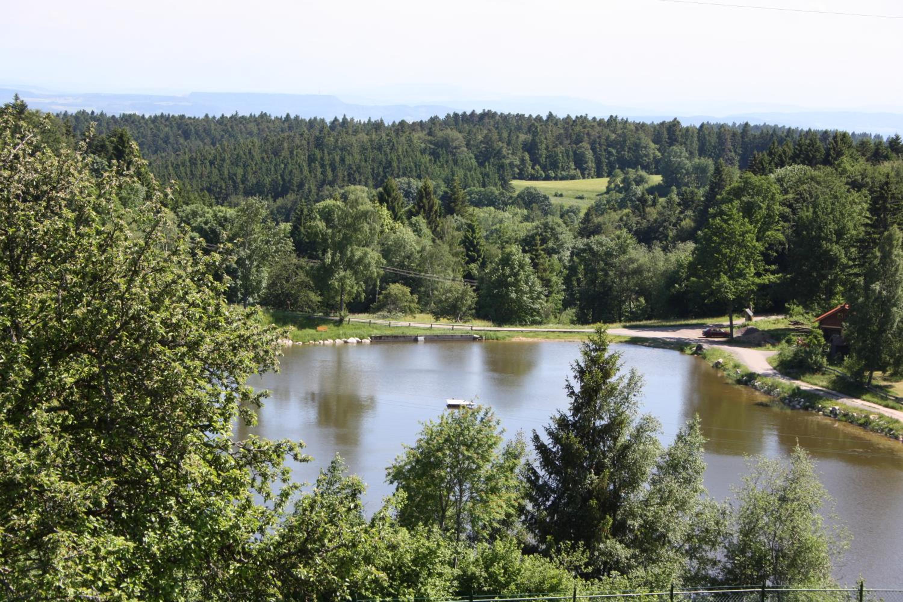 Vogelbacher Hof - Dachsberg im Südschwarzwald