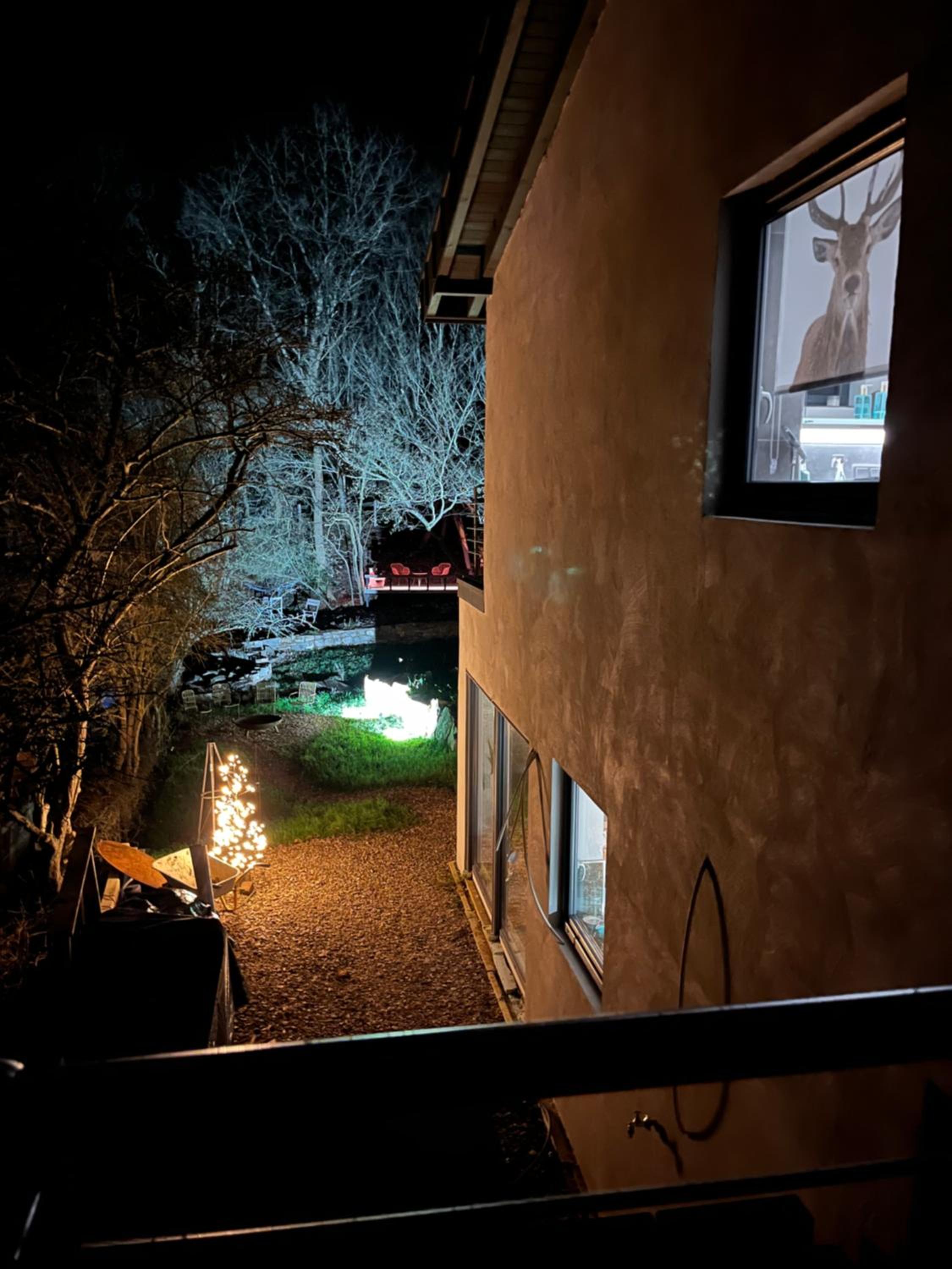 Ferienhaus Waldbaden im Nationalpark Eifel- am Bach
