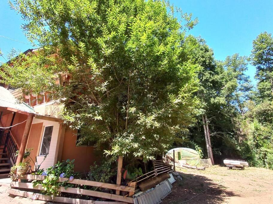 Acogedora cabaña en Caburgua