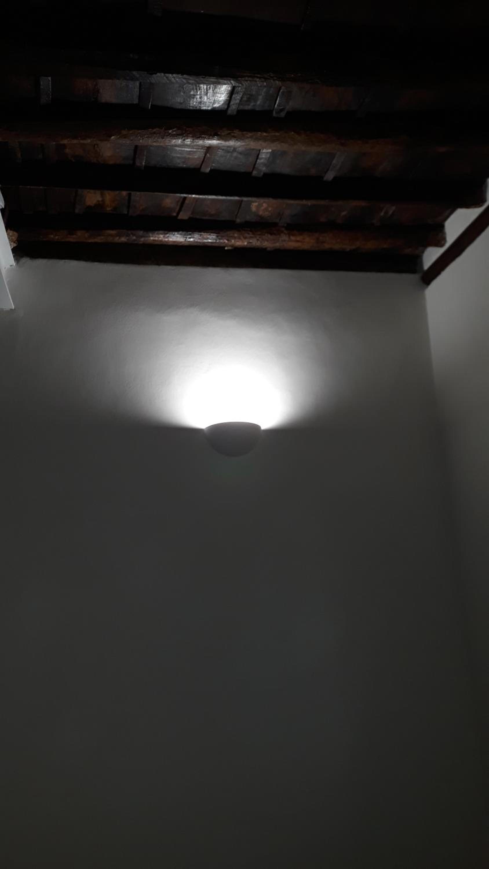 La Fernandina photo 3