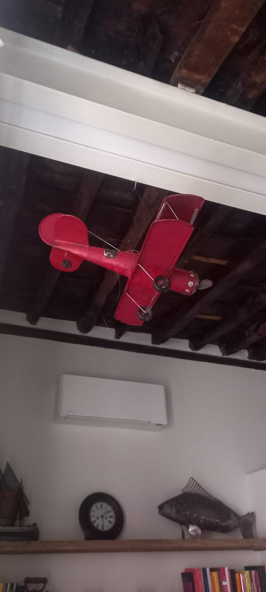 La Fernandina photo 4