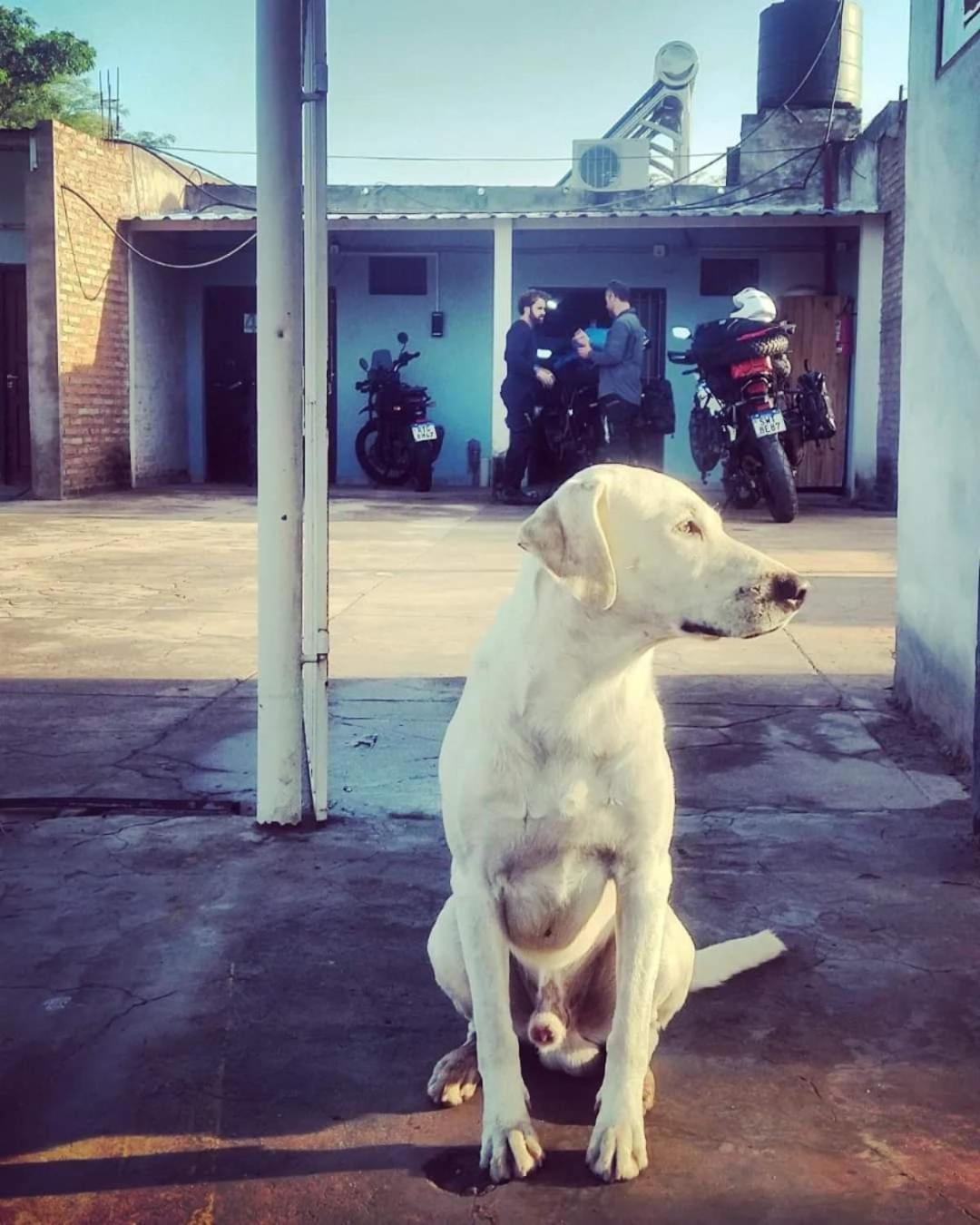 human