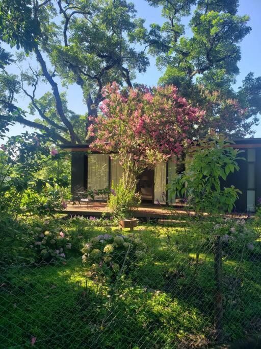 Amazing mini cottage in montain