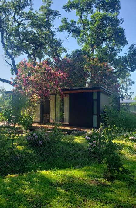 Amazing mini cottage in montain