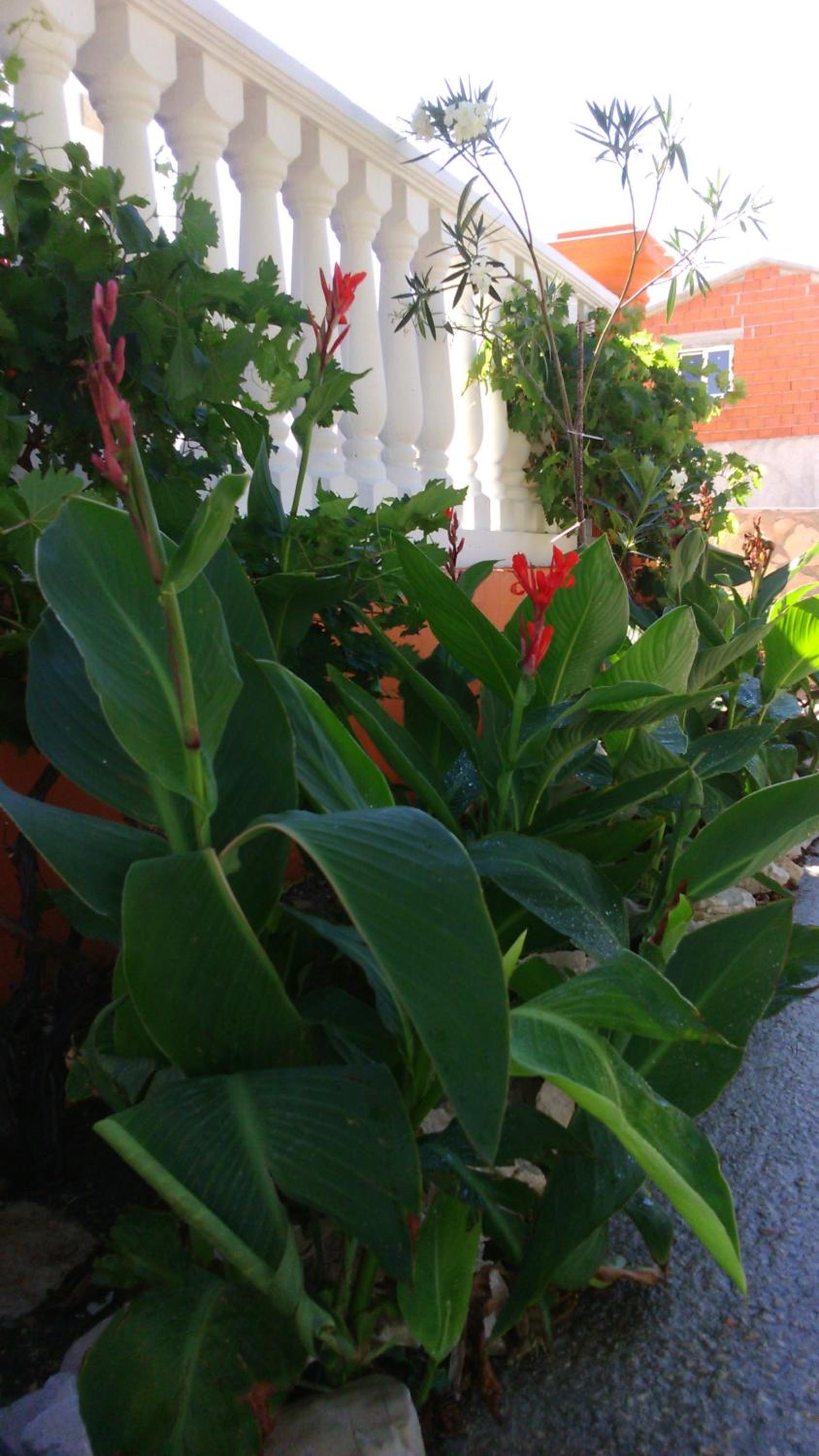 Photo 27