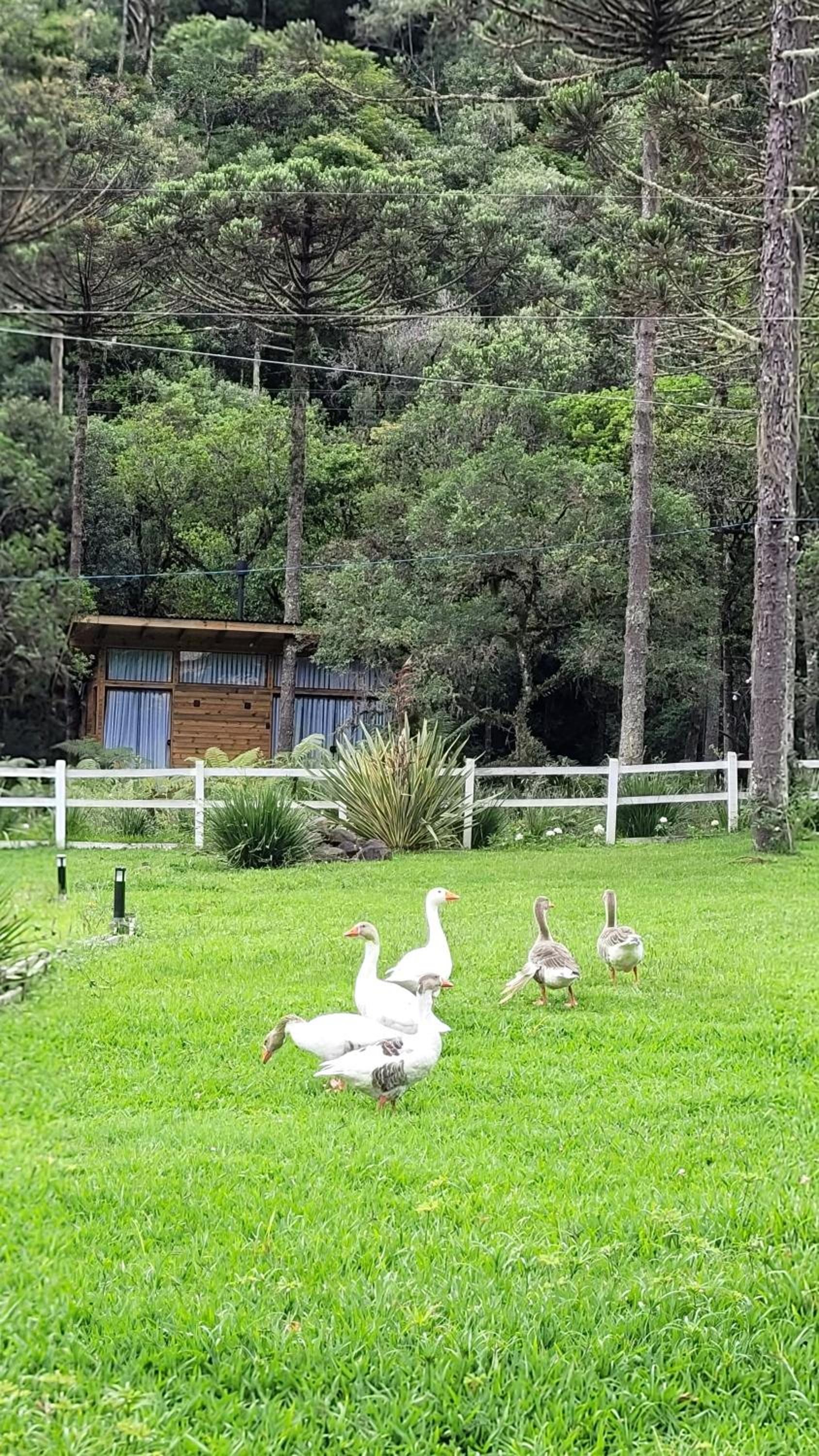 Valle Das Águas