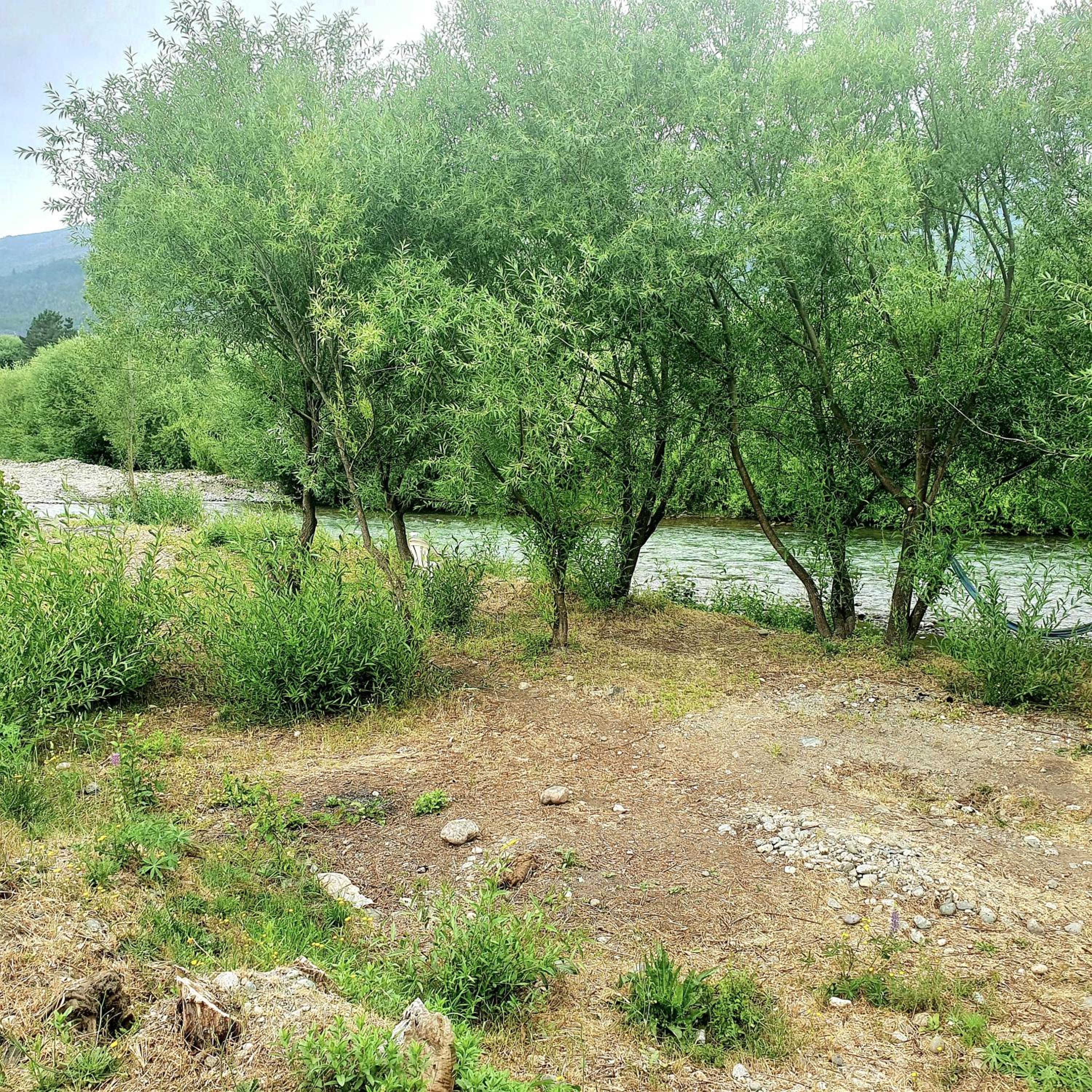 Hostel,Dormis y Camping Costa Bolsón
