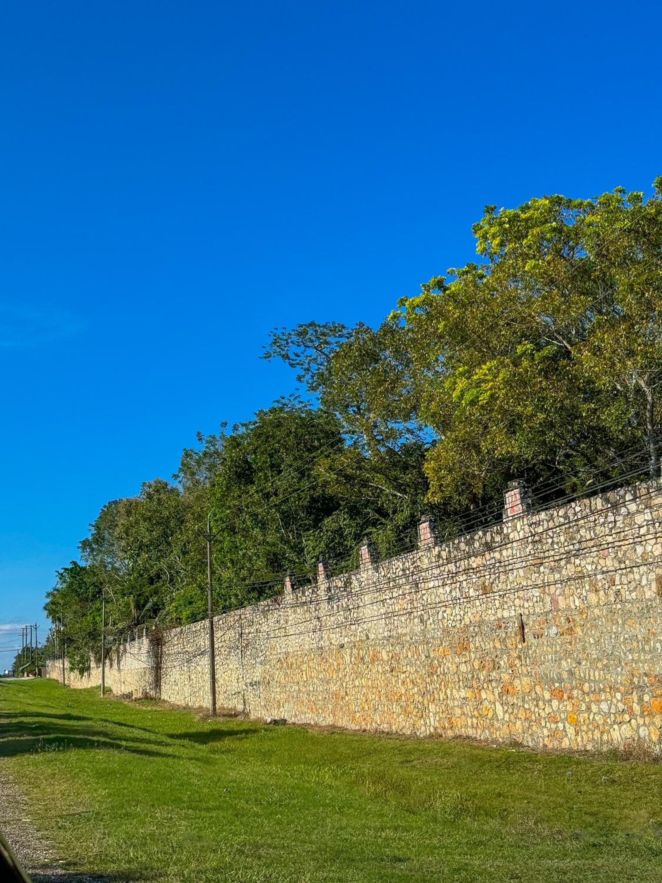 The Mayan Garden