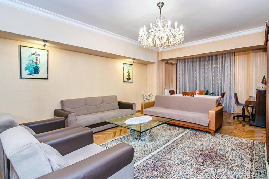 Comfortable and Spacious Apartment in the Center