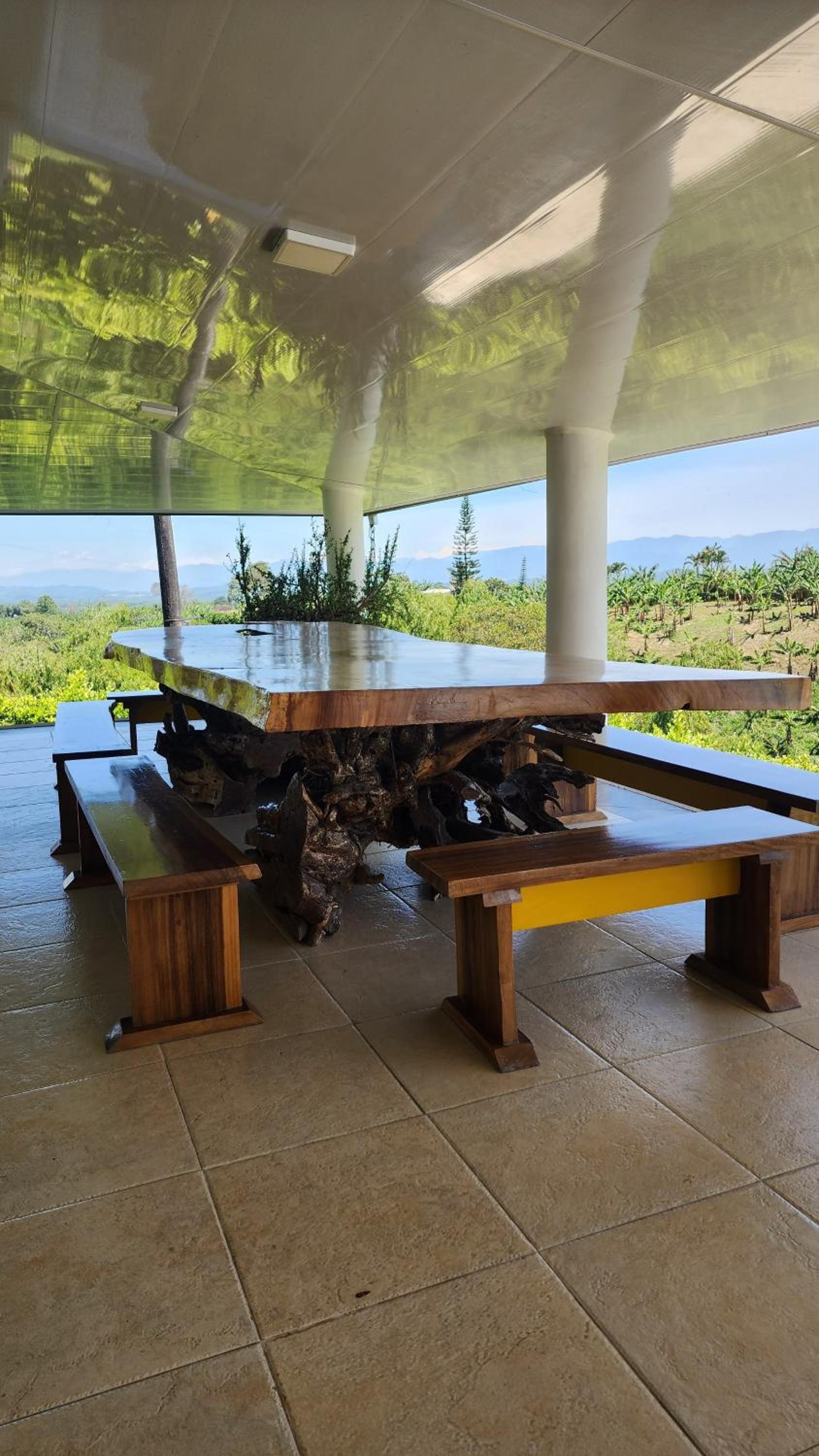 Finca Nuevo Monarca