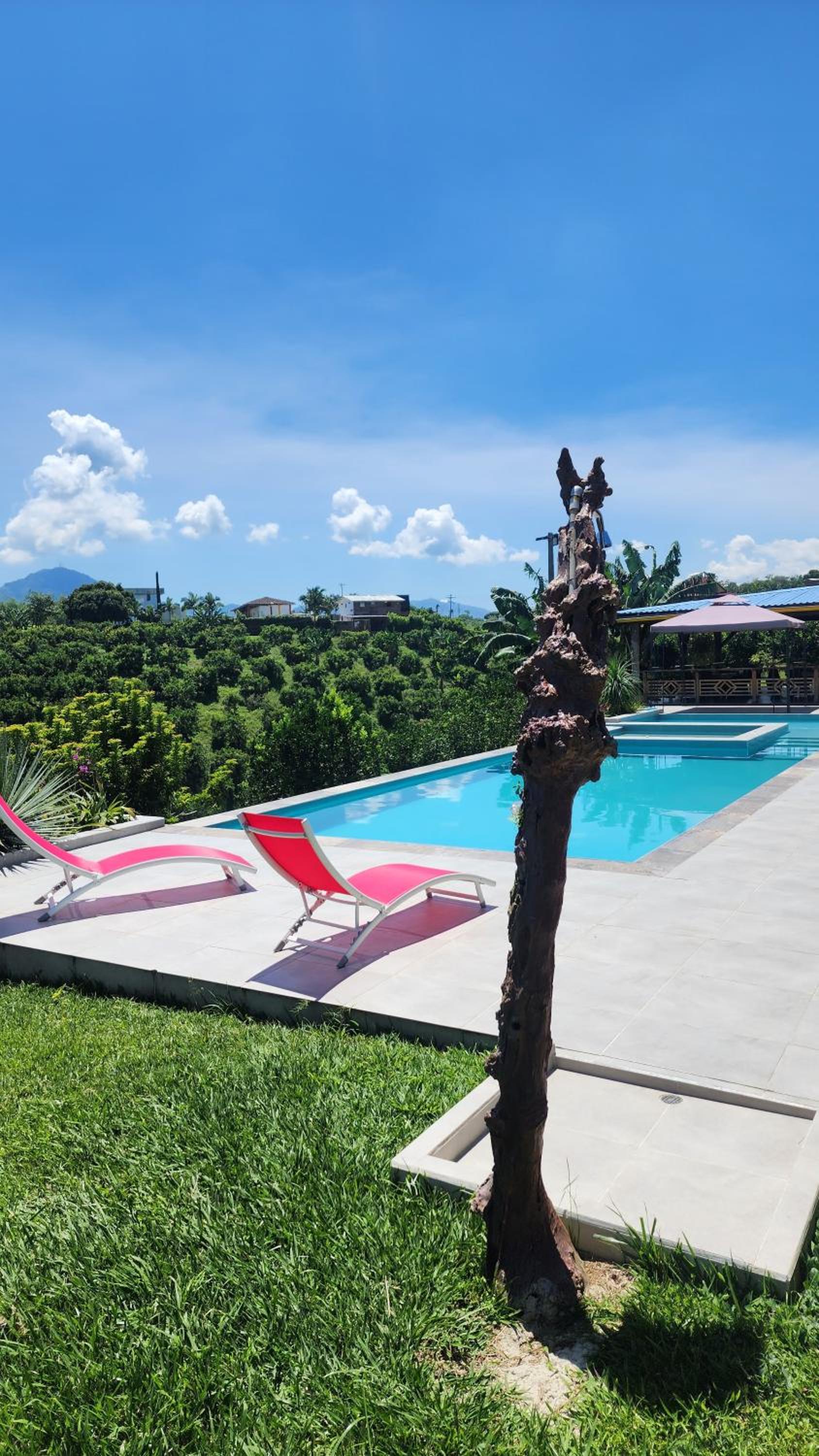 Finca Nuevo Monarca