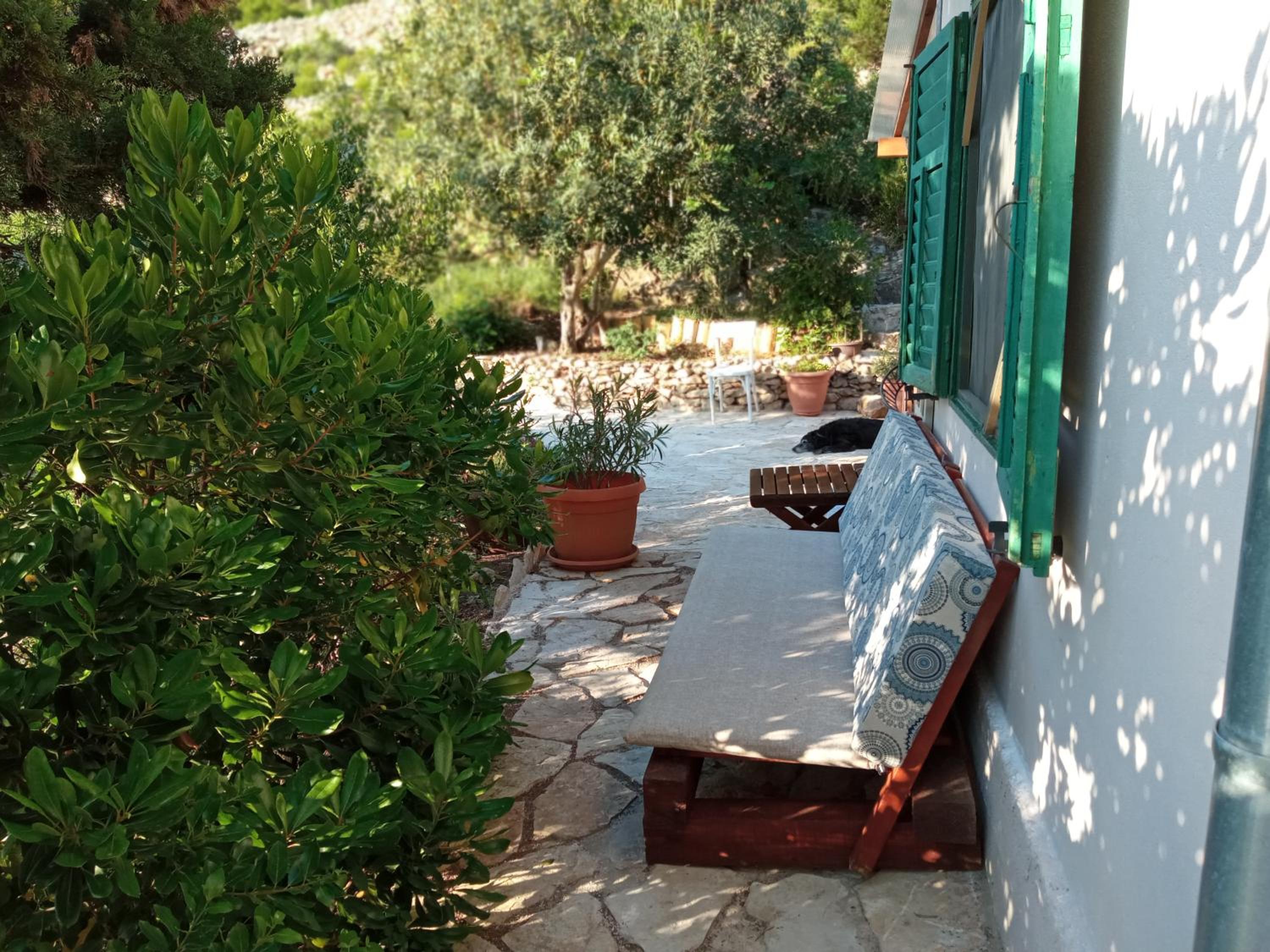 Photo 31