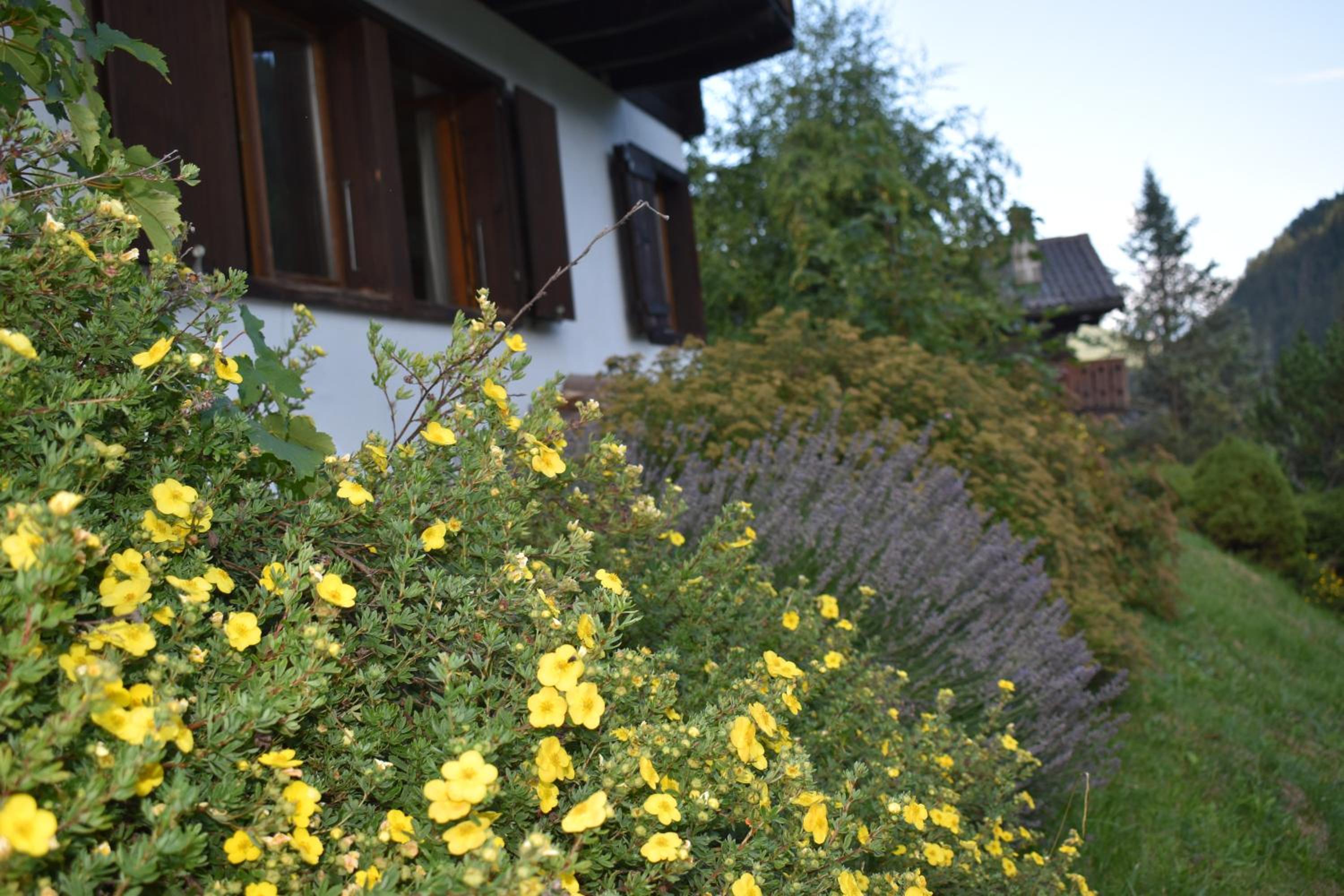 Chalet entier pour l'été