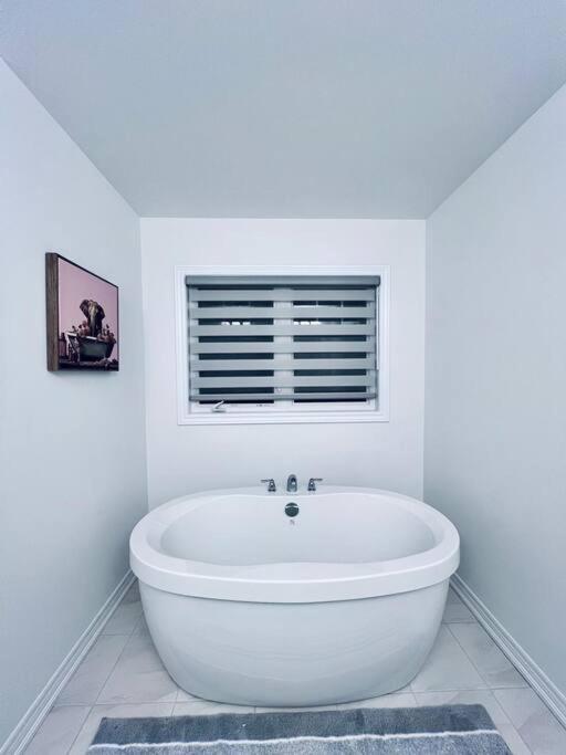 Brand New! Modern Luxury Retreat!