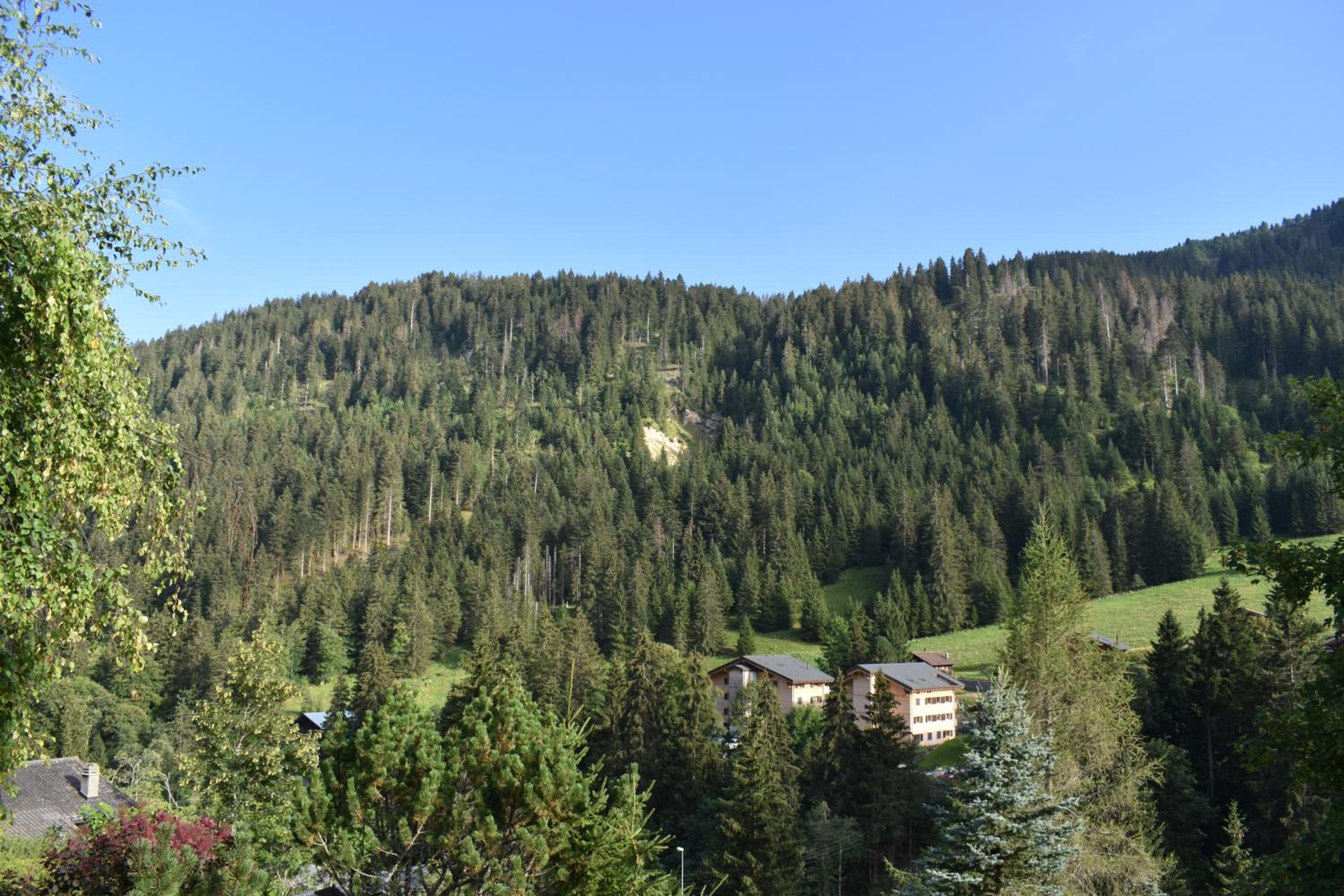Chalet entier pour l'été