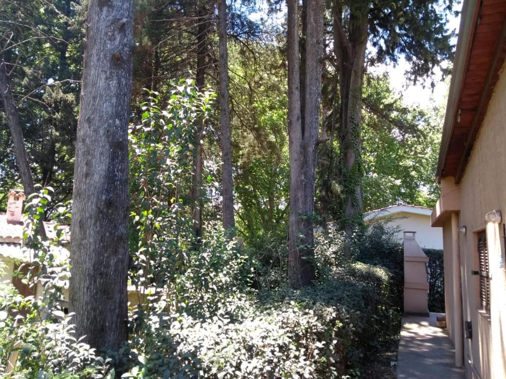 Casa de Campo Mama Lucia