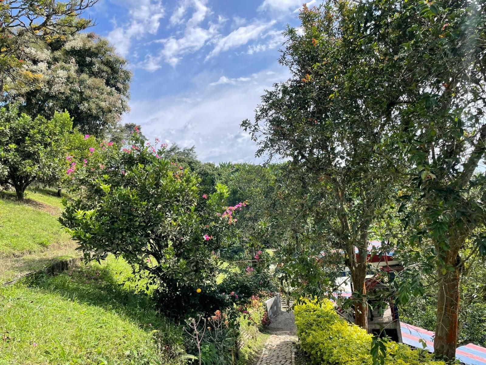 Itaca Hostel finca Cafetera
