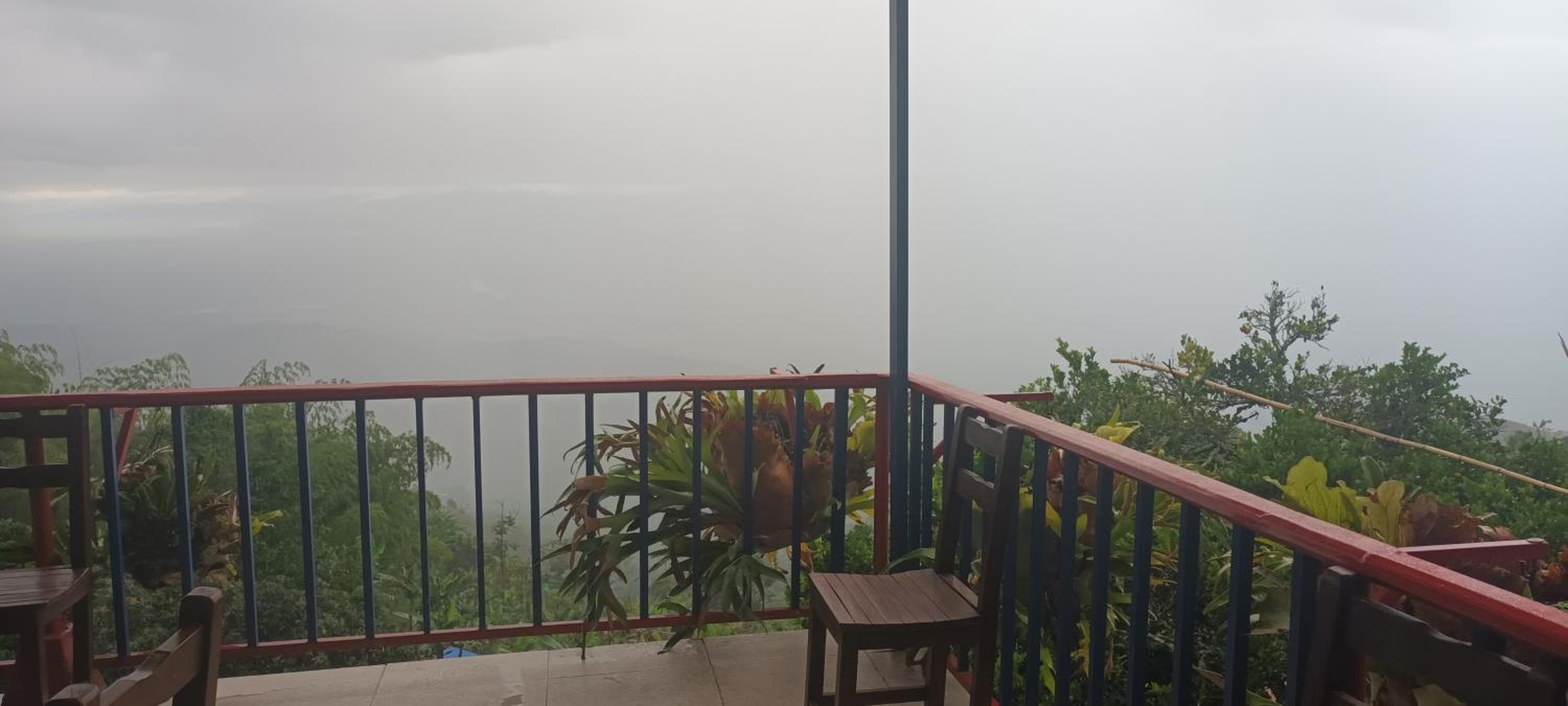 Itaca Hostel finca Cafetera