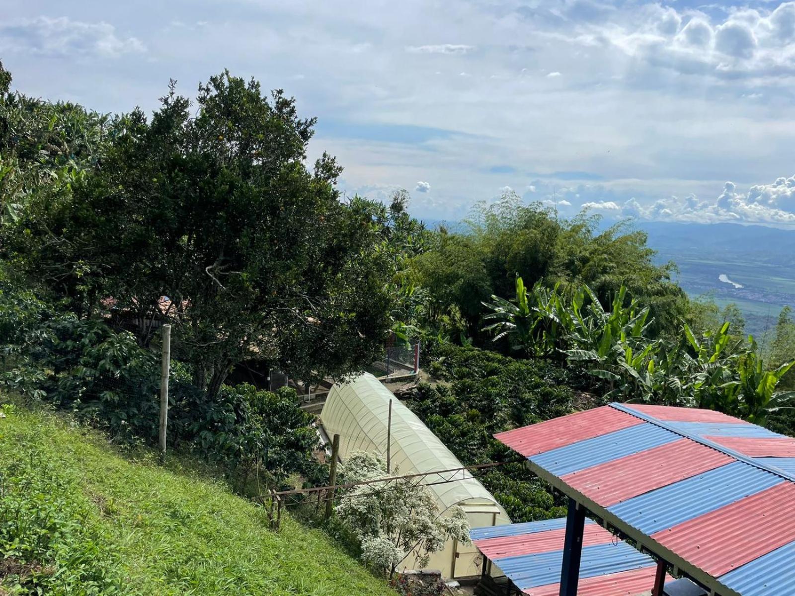 Itaca Hostel finca Cafetera