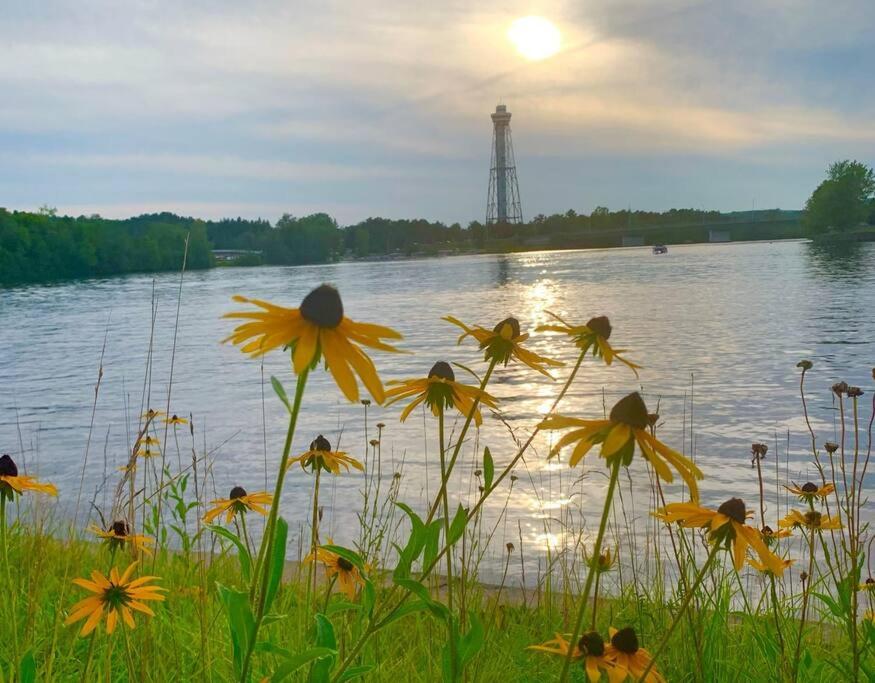 Parc de l'Île Melville 2 - Maison flottante