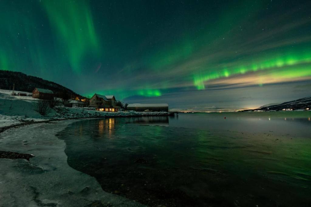 Secluded northern light apartment with great view! view 5
