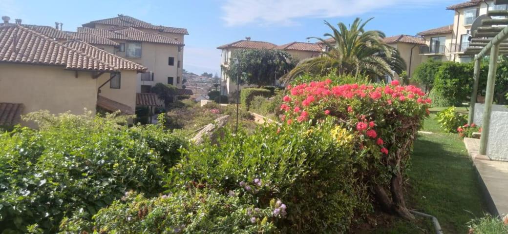 Depto Condominio Mar Azul