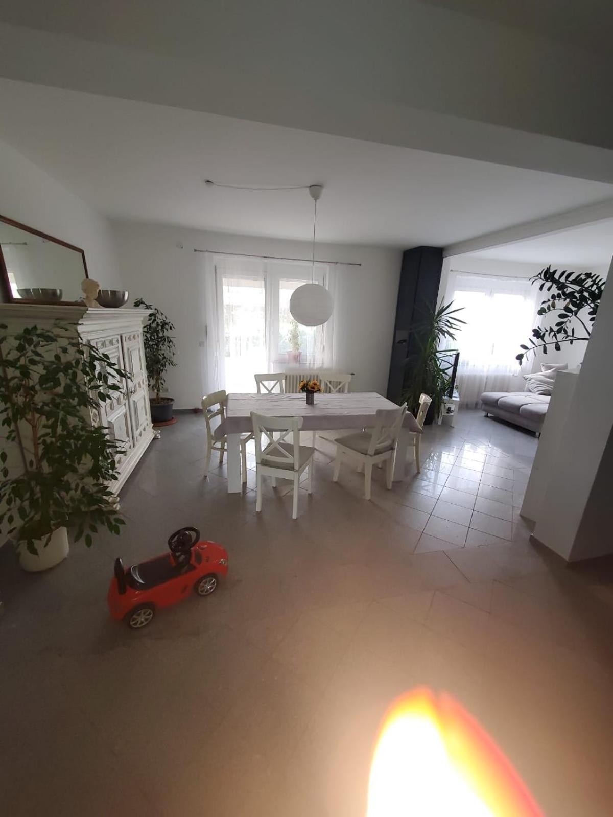 Große 3 Zi Wohnung auf der Pferde Farm