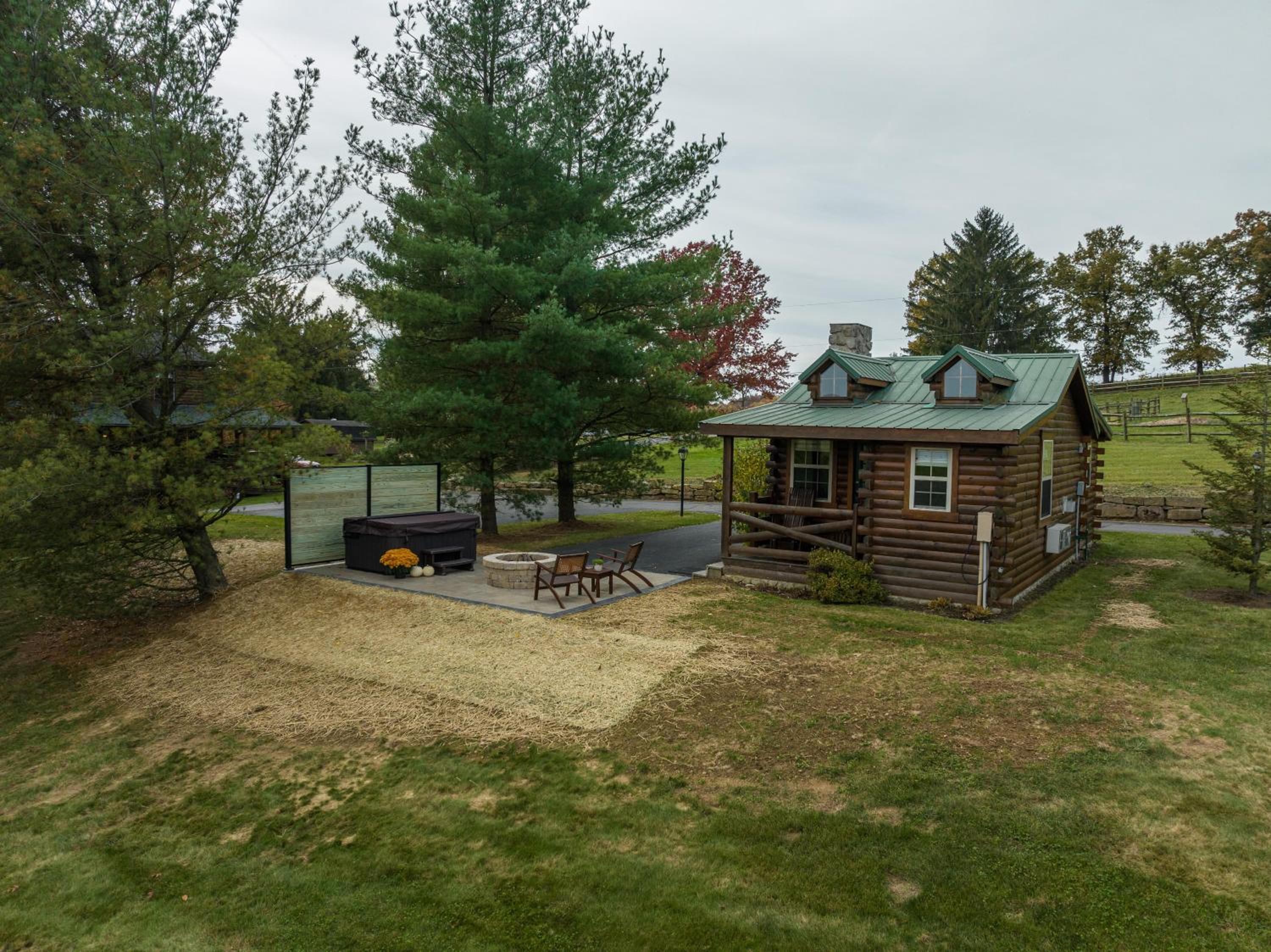 Olive Leaf Cabin view 5