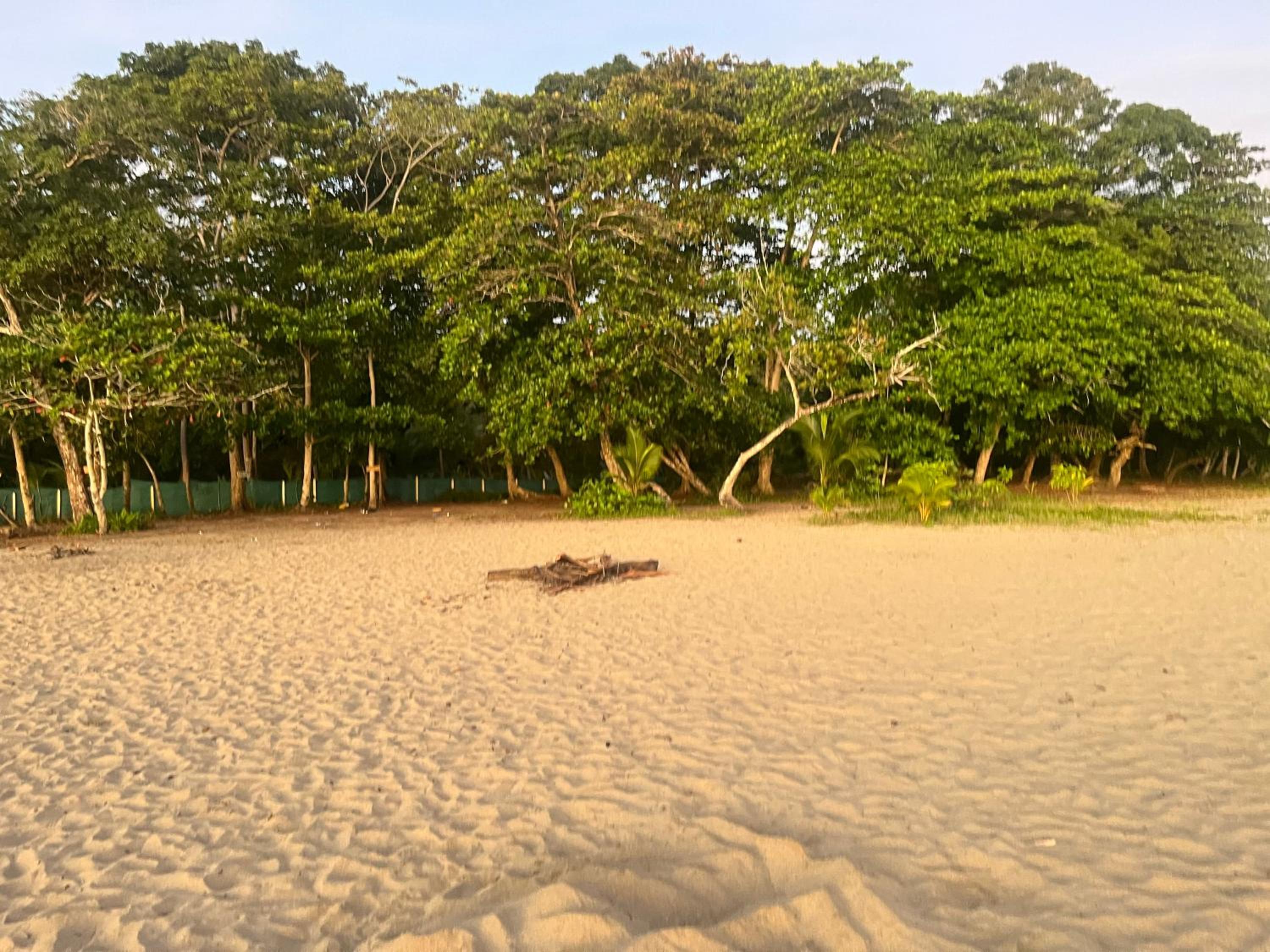 Secret Paradise