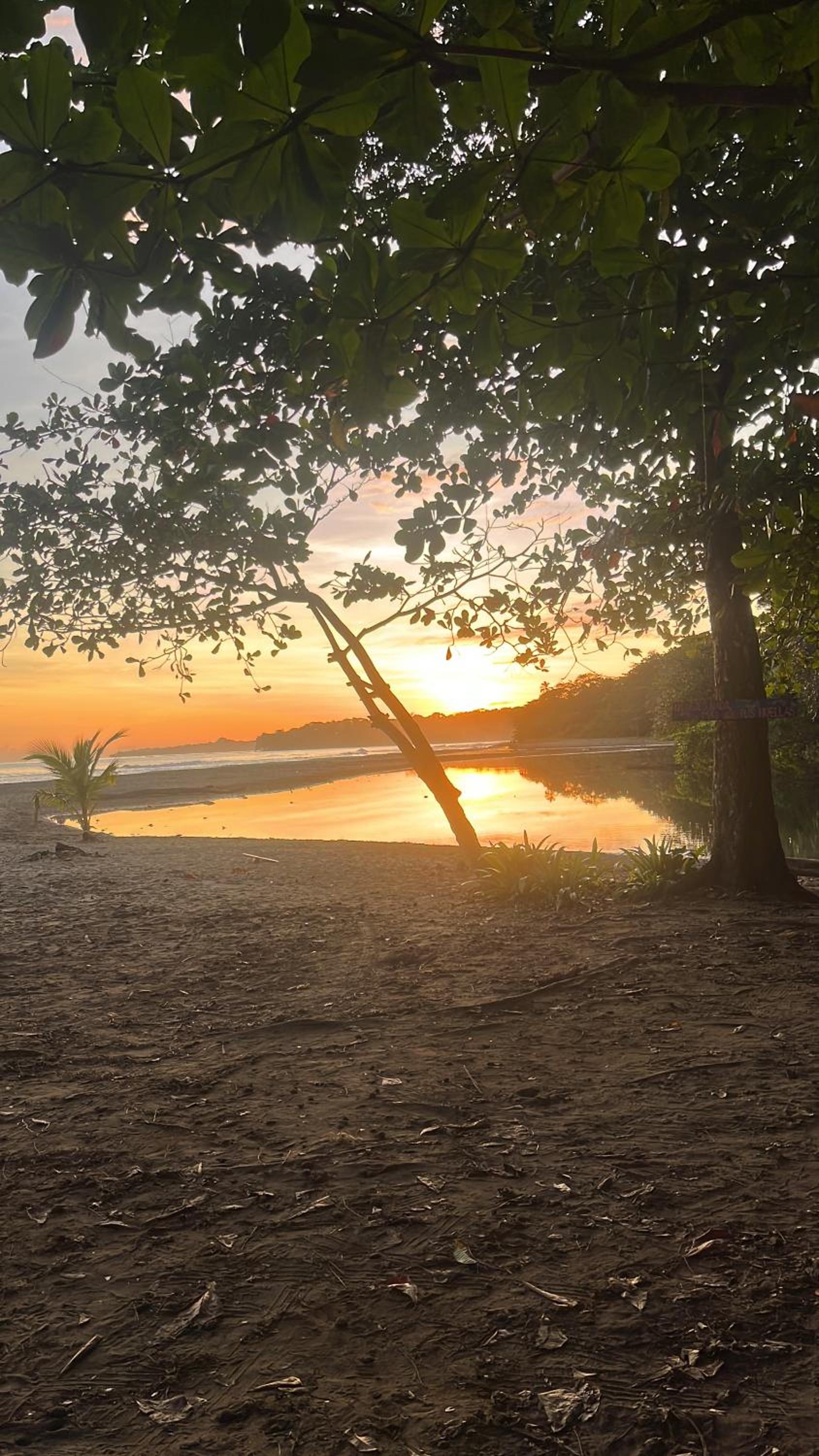 Secret Paradise