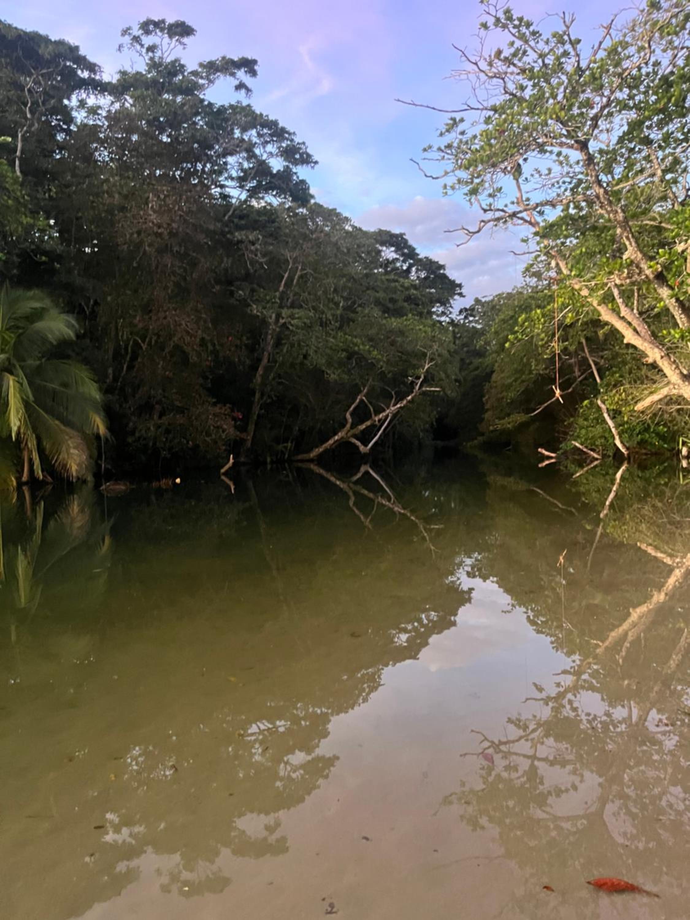 Secret Paradise