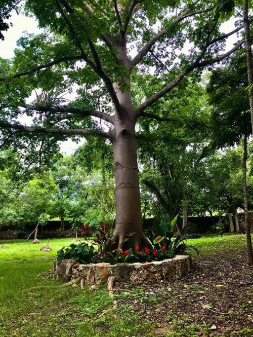 Hacienda Sabacche, Unique and Historic Retreat in Yucatán view 5