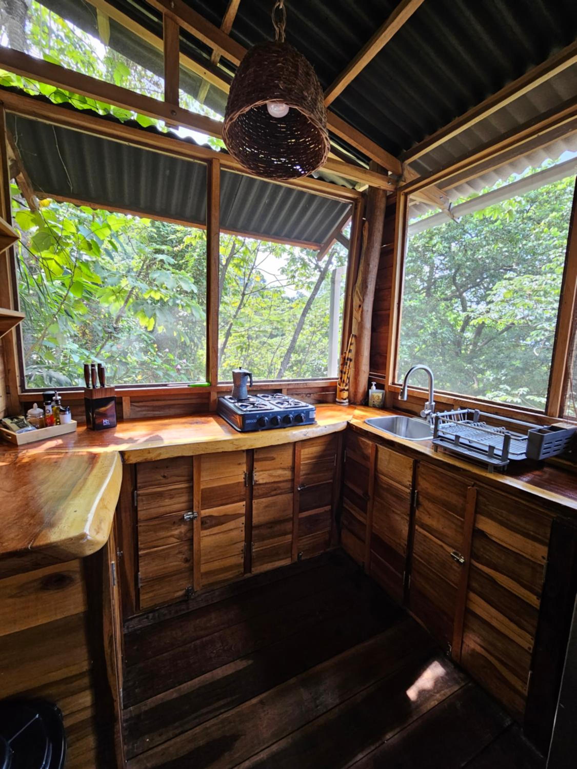 La Casa Del Mono