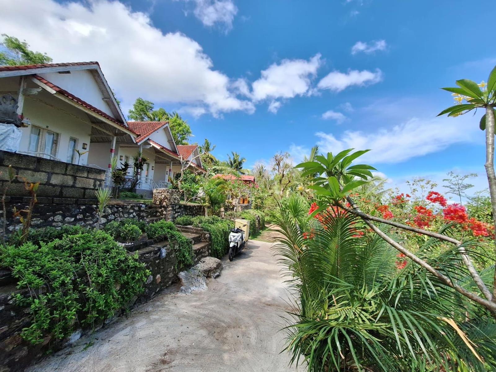 La Colina Bungalow view 5