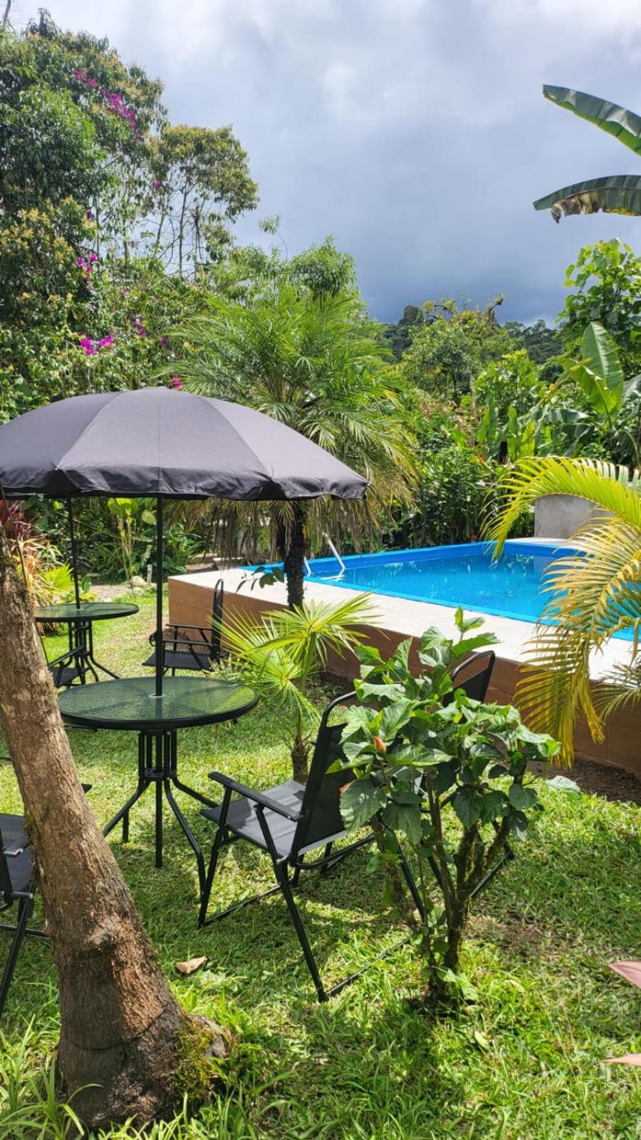 Hotel Mindo Green House - Image 1