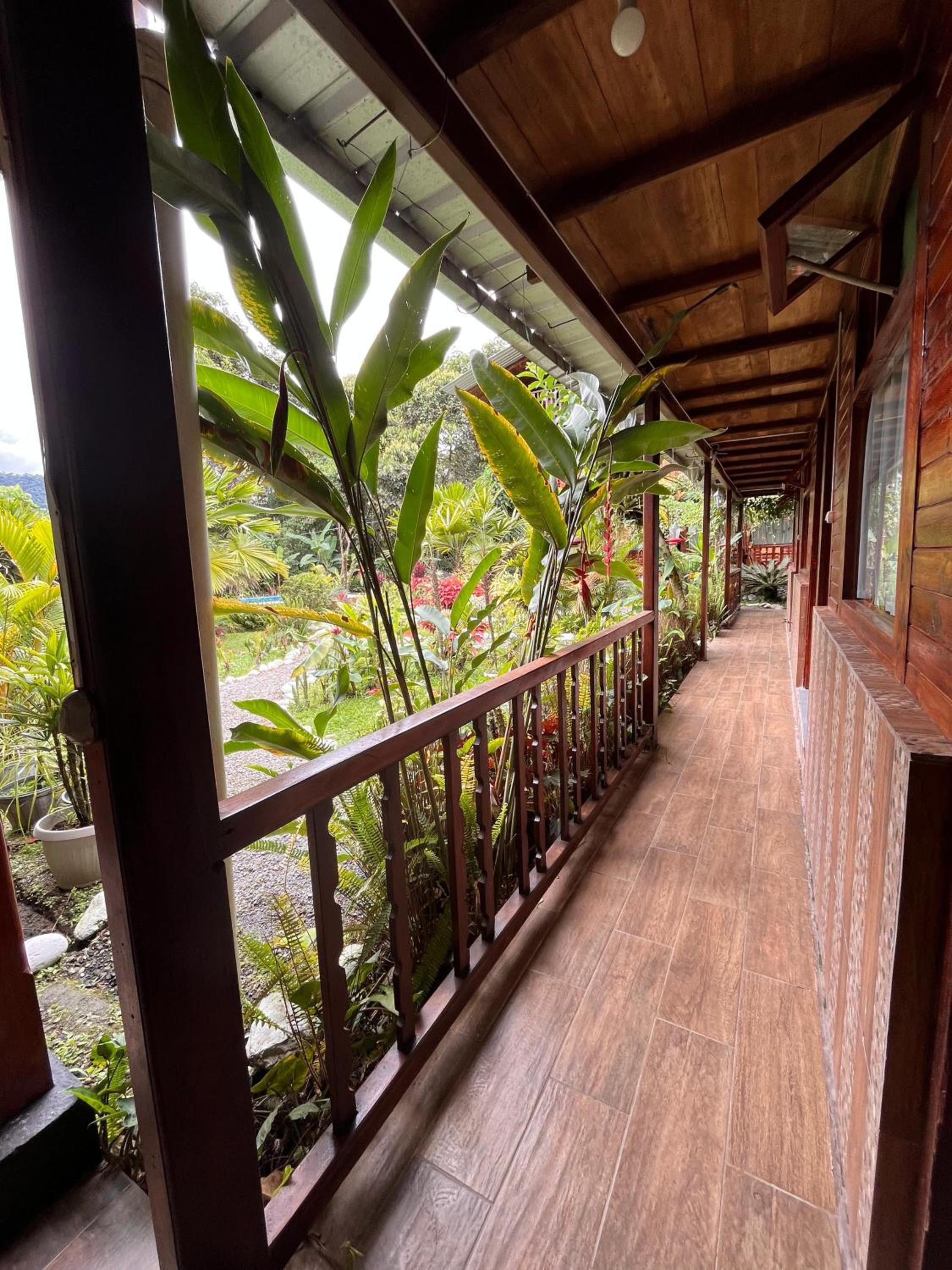 Mindo Green House