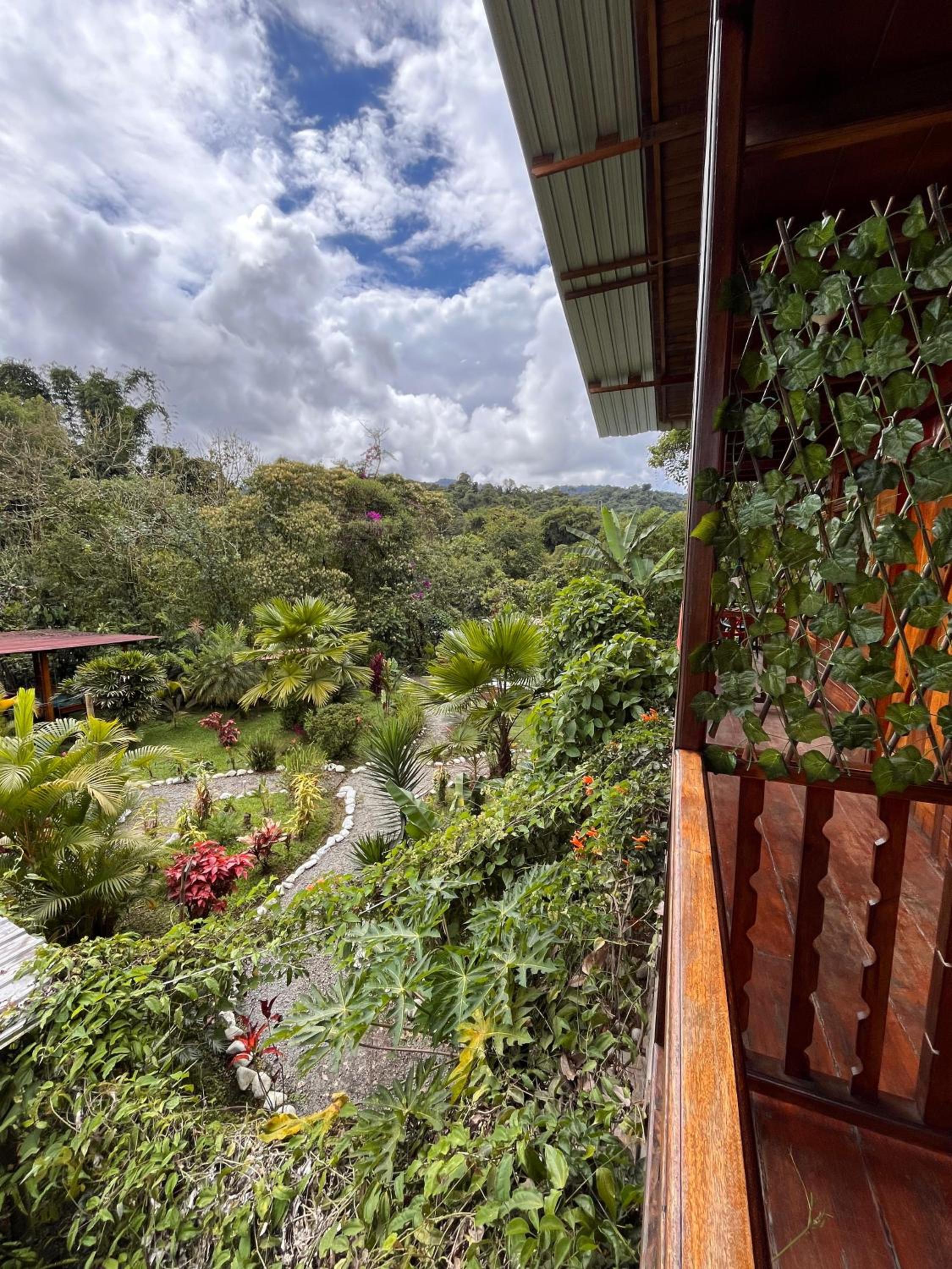 Mindo Green House