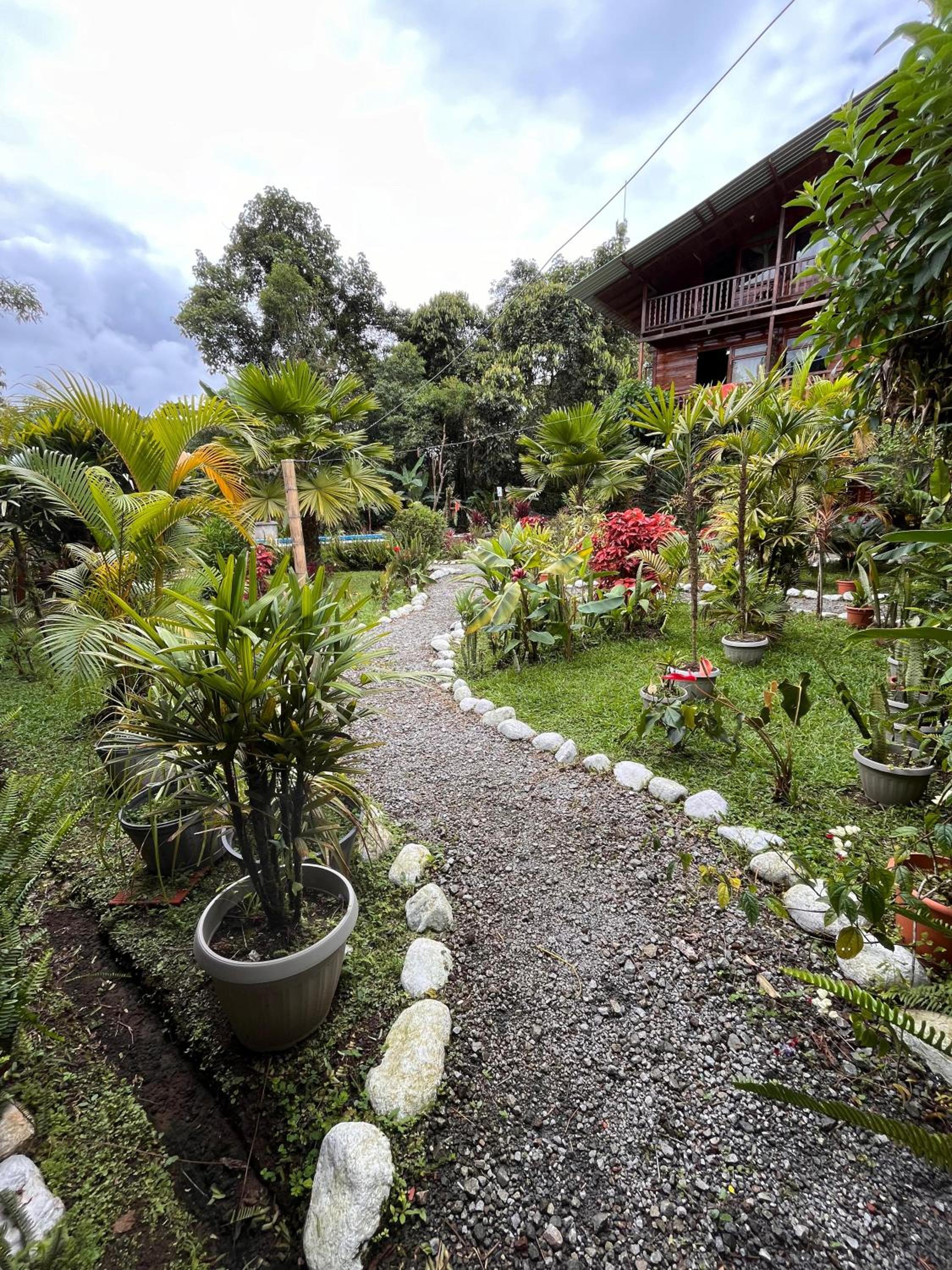 Mindo Green House