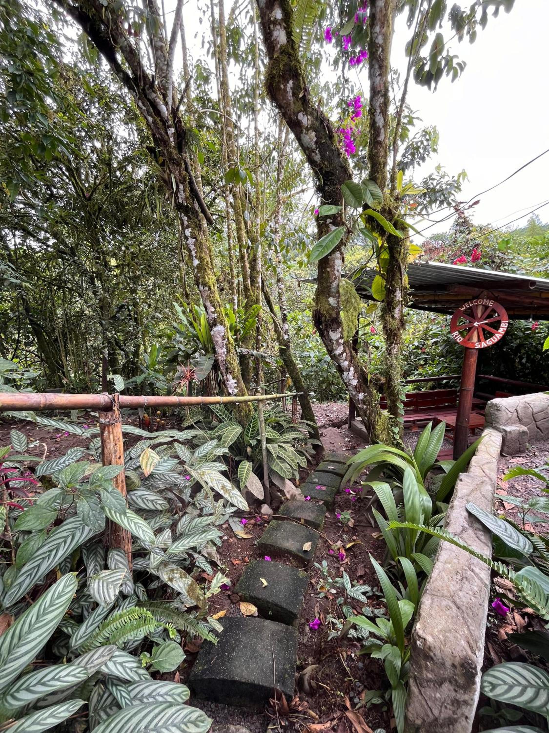 Mindo Green House