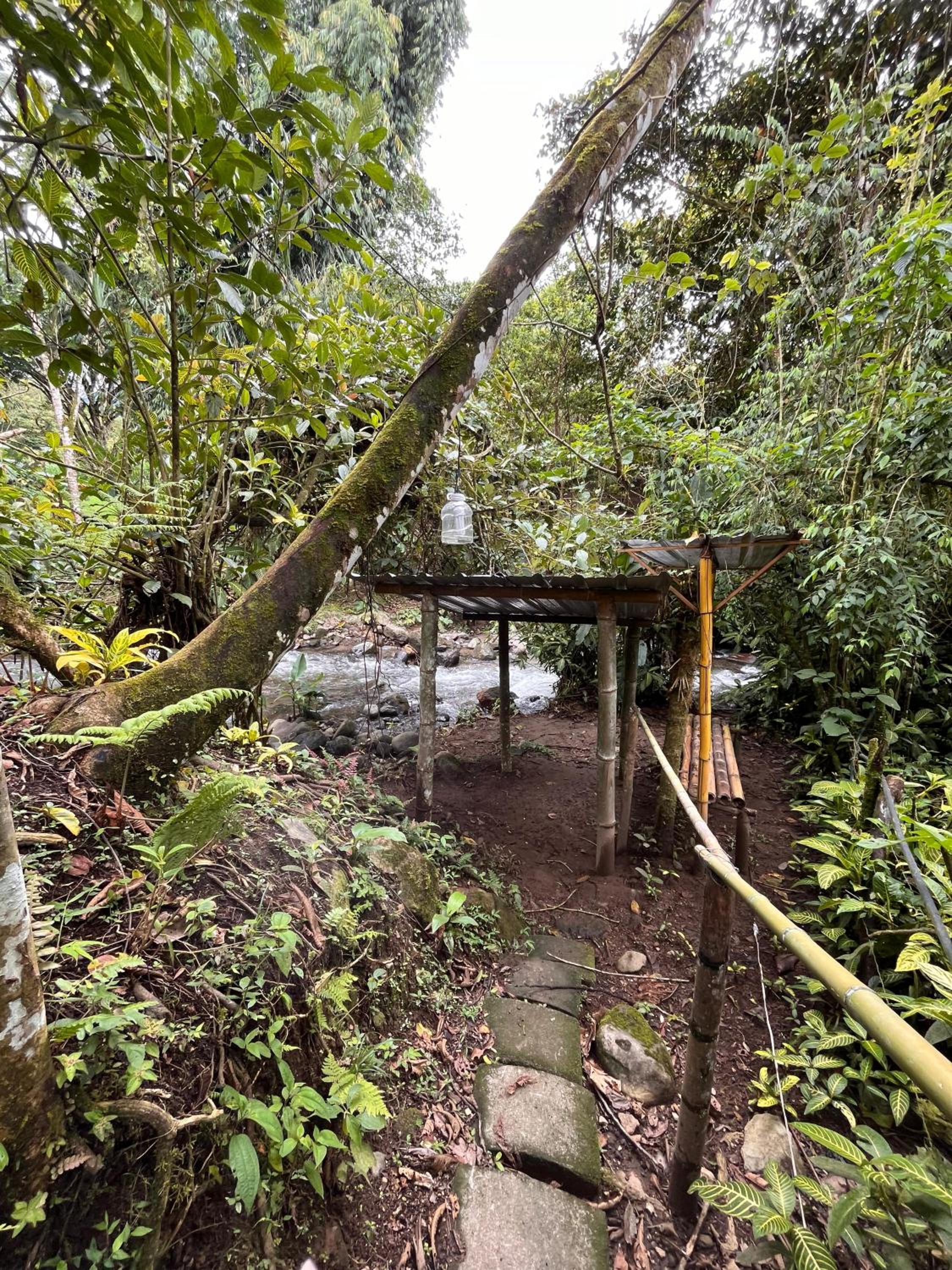 Mindo Green House