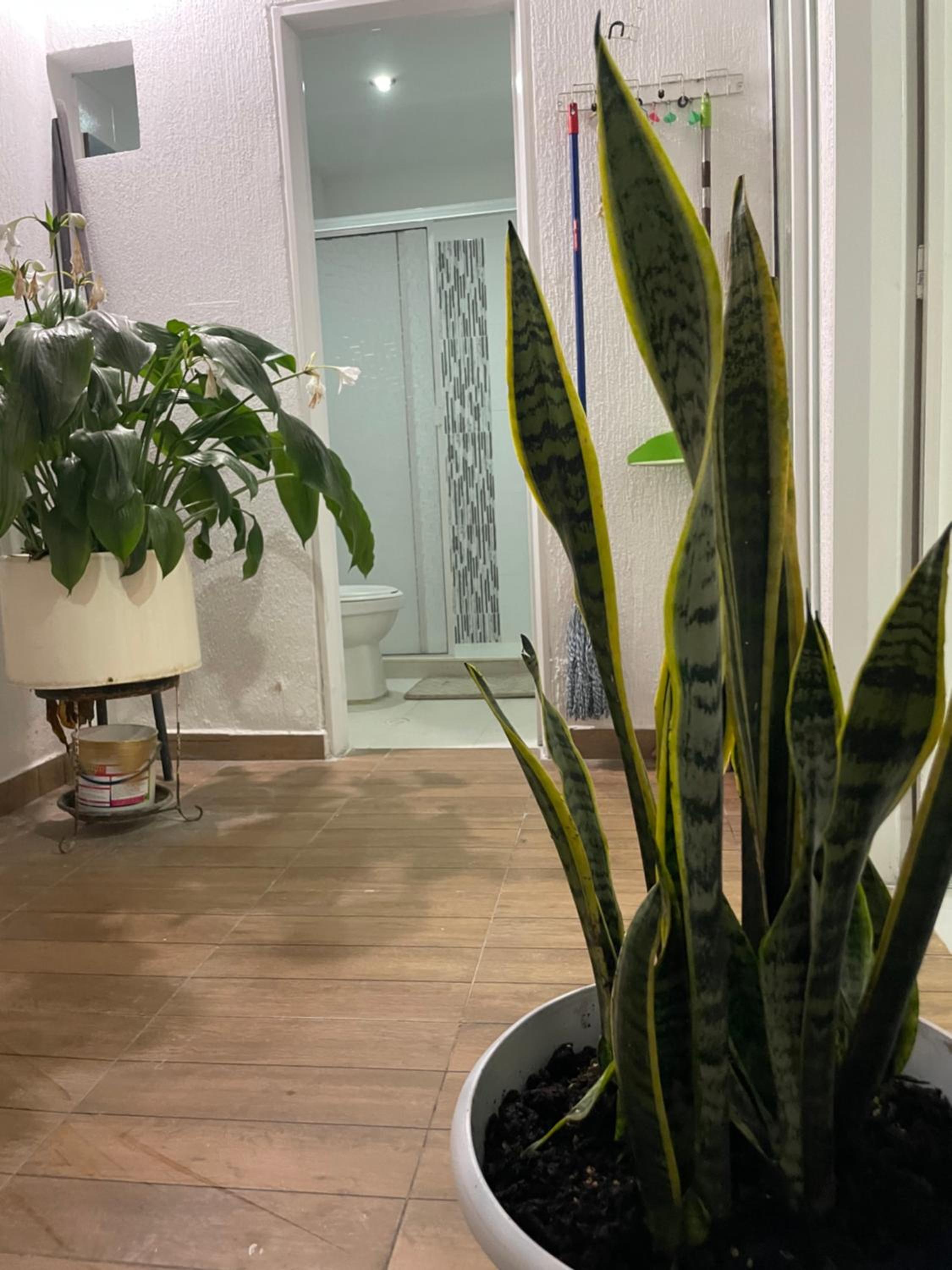 Acogedor apartamento bellavista
