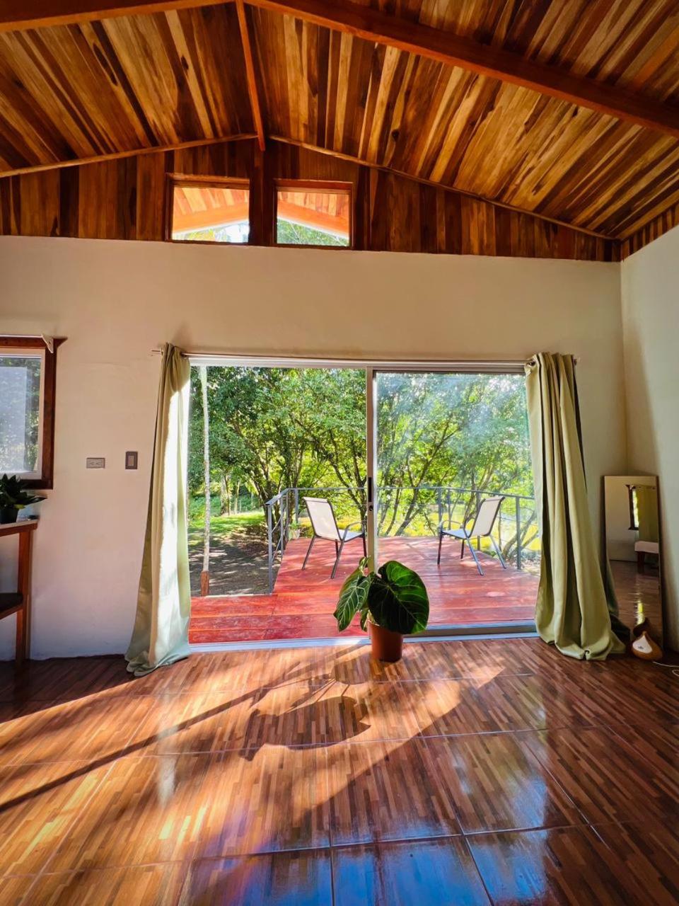 Ficus house