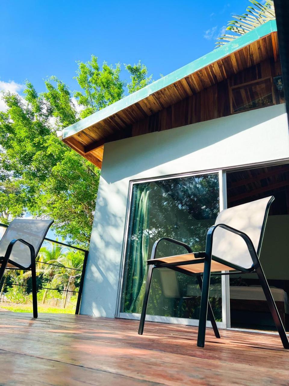 Ficus house