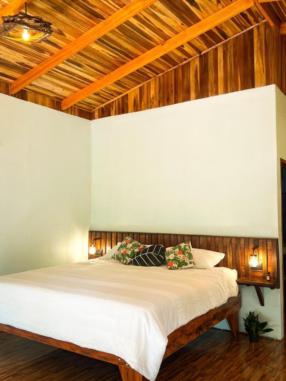 Ficus house