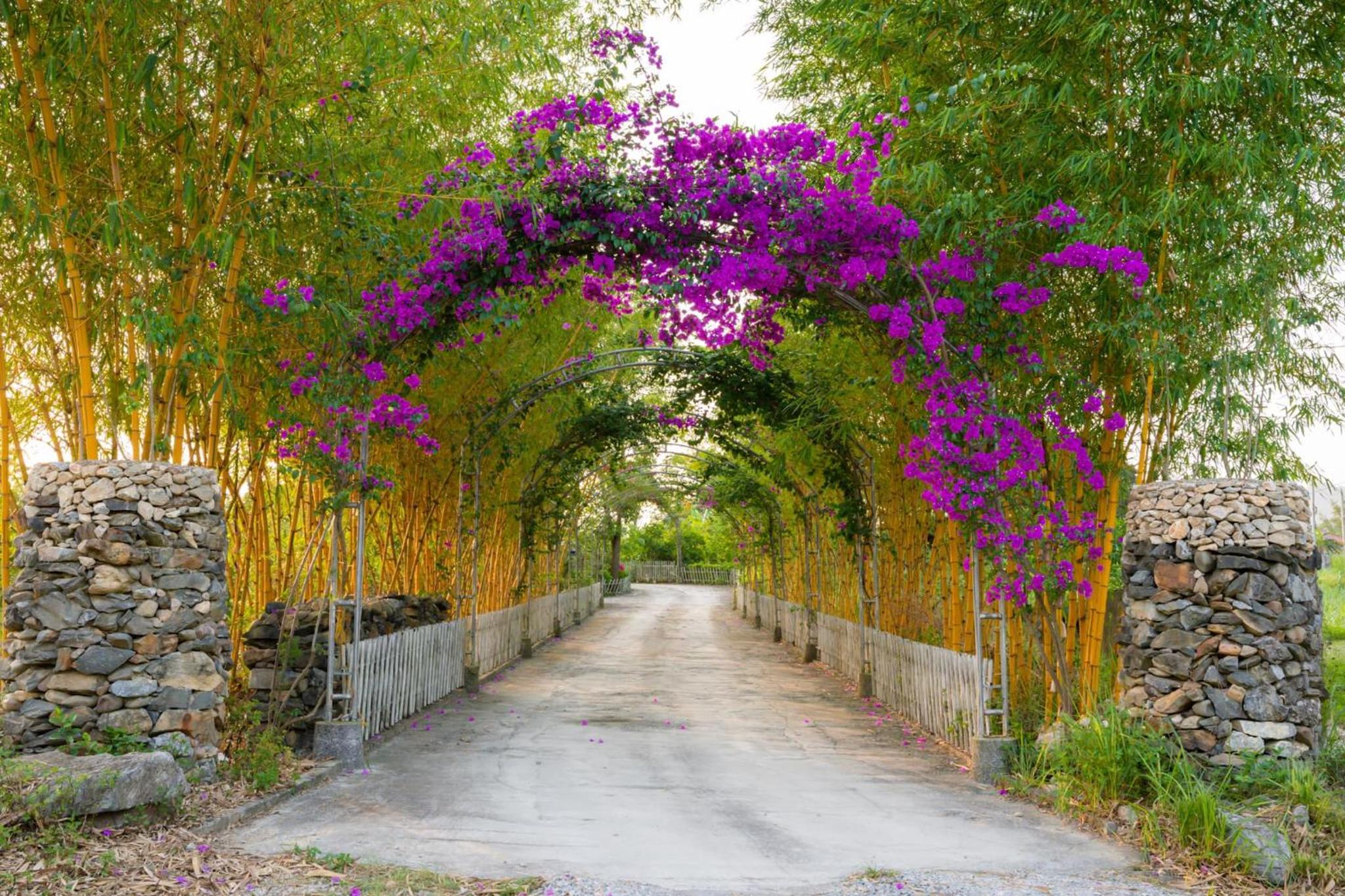 Homestay Bách Thảo Tà Lùng