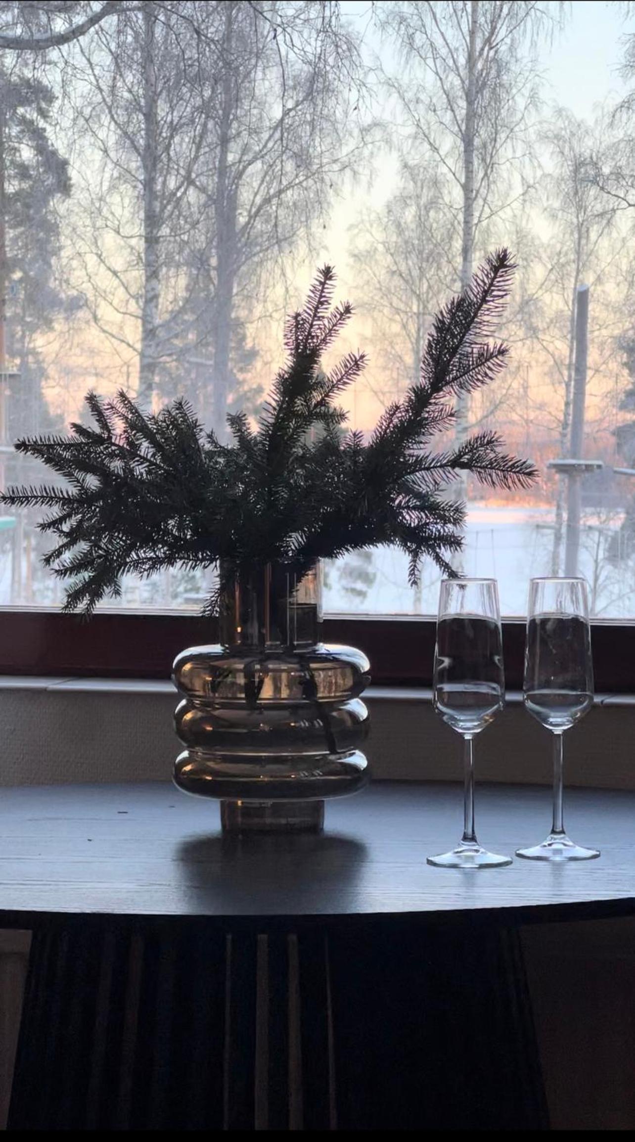 Ellivuori Rooms suurempi hotellihuone 24m2 järvinäköalalla Hyvä varustelu view 4