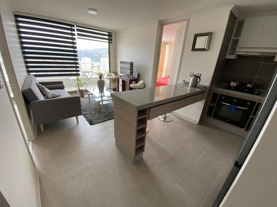 Hermoso Departamento con excelente vista, a pasos de la Quinta Vergara, cercano a Reloj de Flores y Playa Caleta Abarca